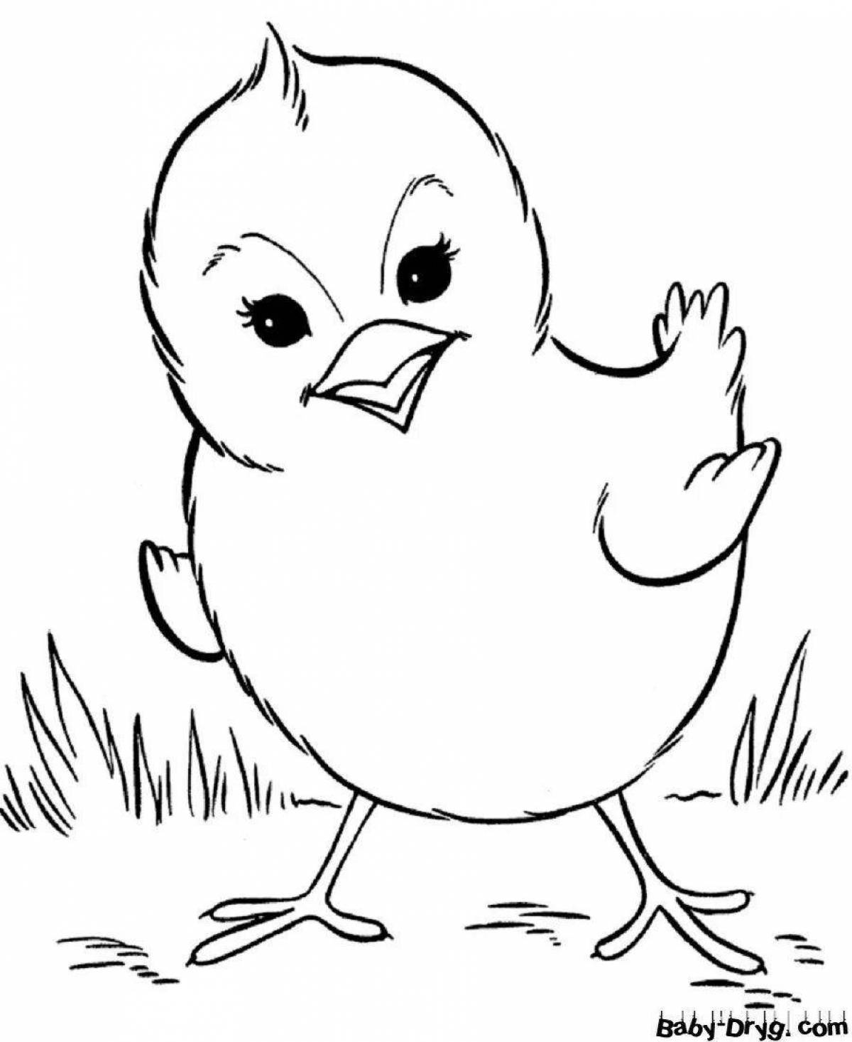 Cute chick coloring book