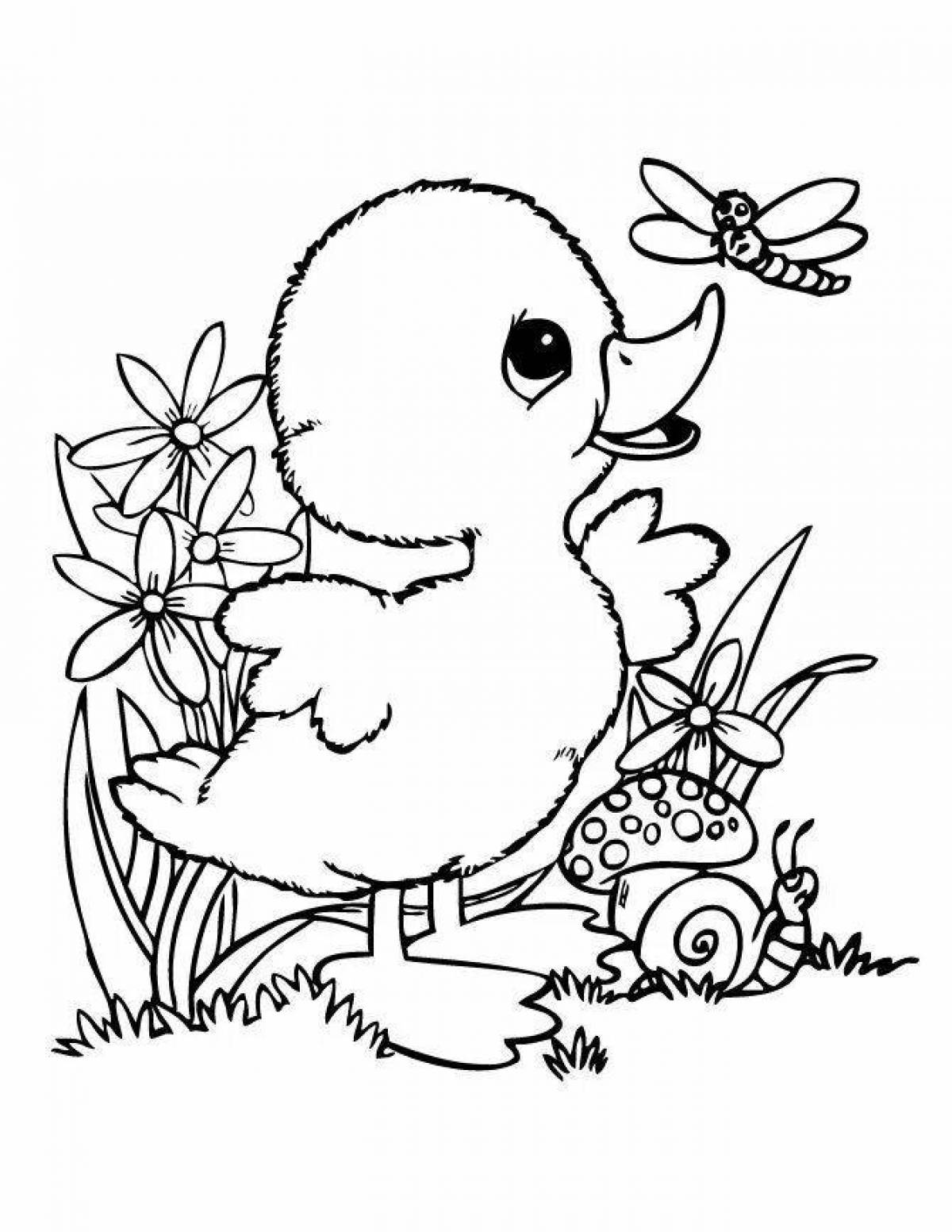 Smiling chicken coloring book
