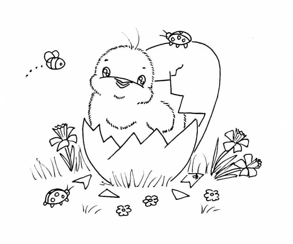 Chick shining coloring book