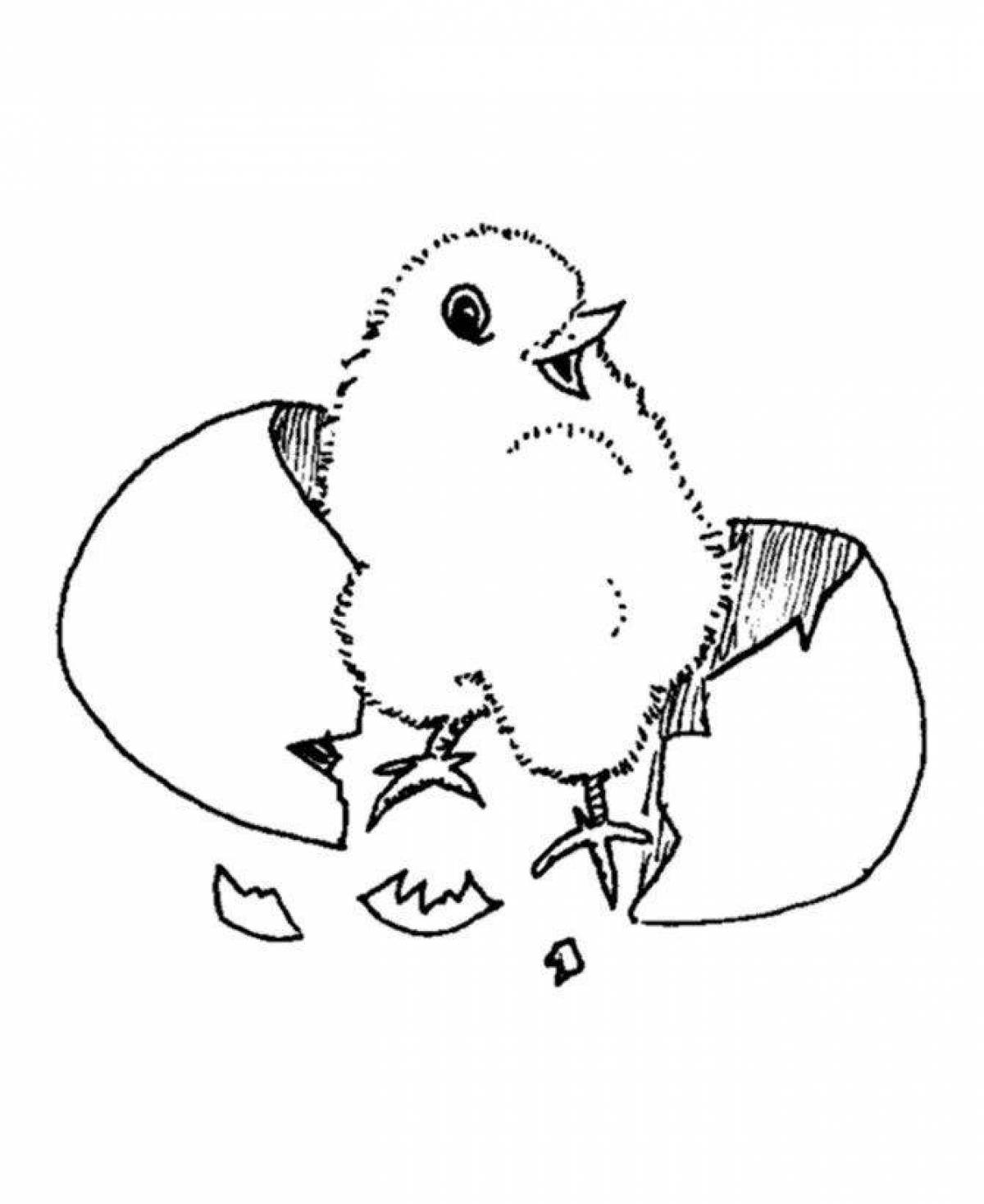 Exciting chick coloring book