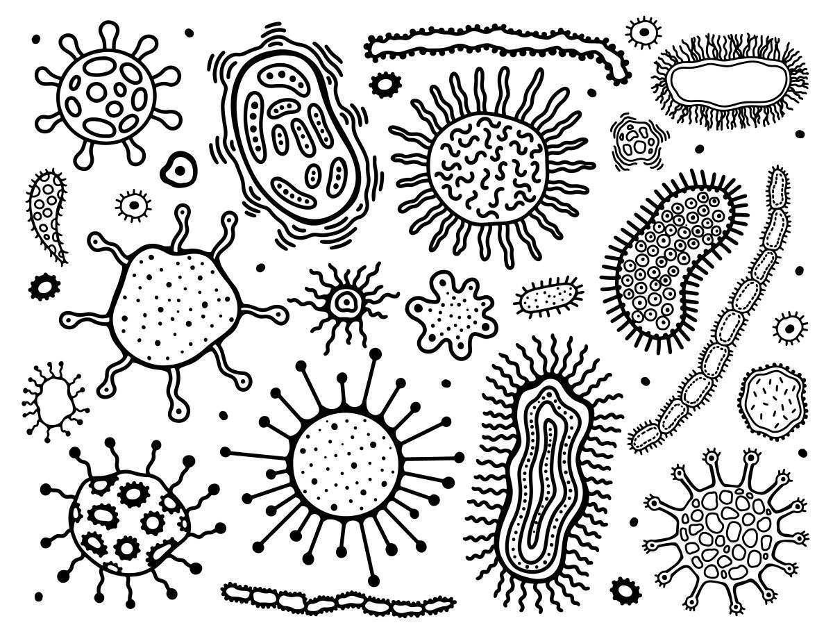 Бактерии раскраска для детей
