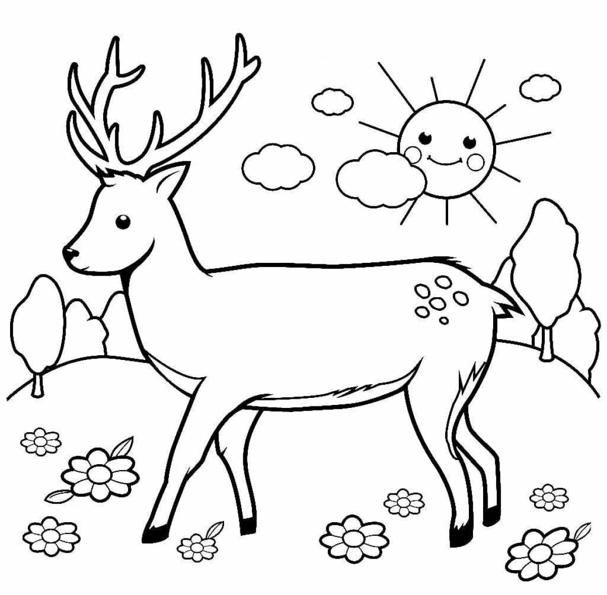 Coloring page nice sika deer