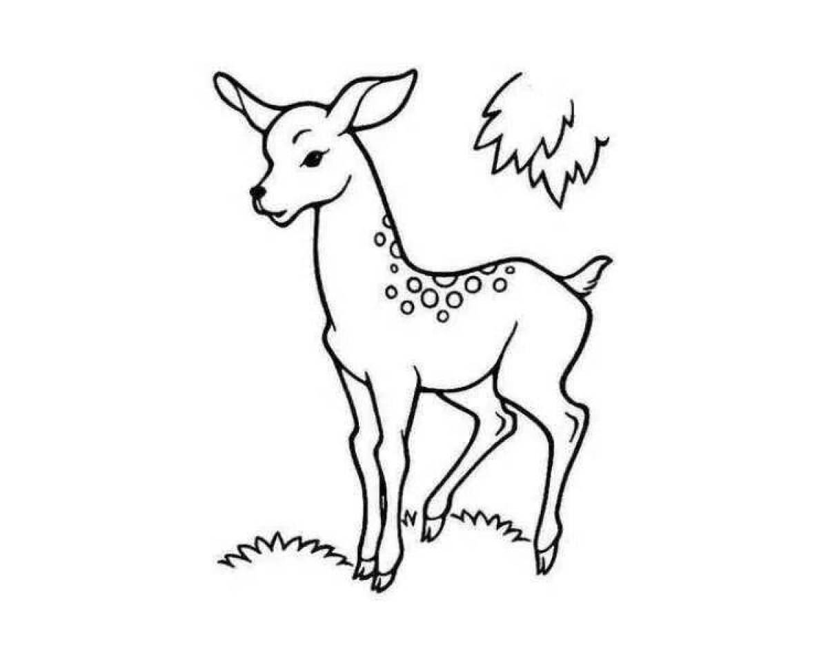 Awesome sika deer coloring book
