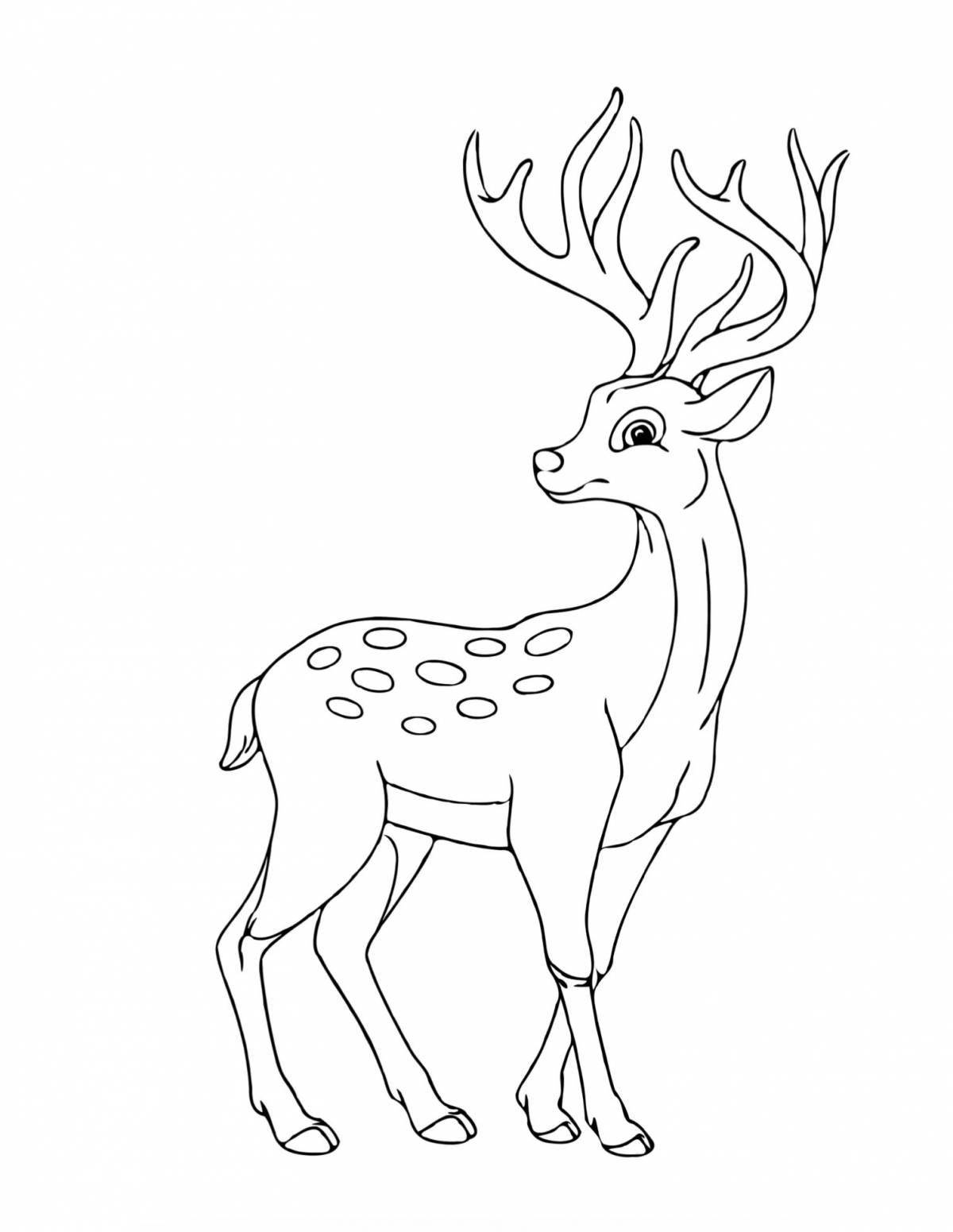 Coloring page elegant sika deer