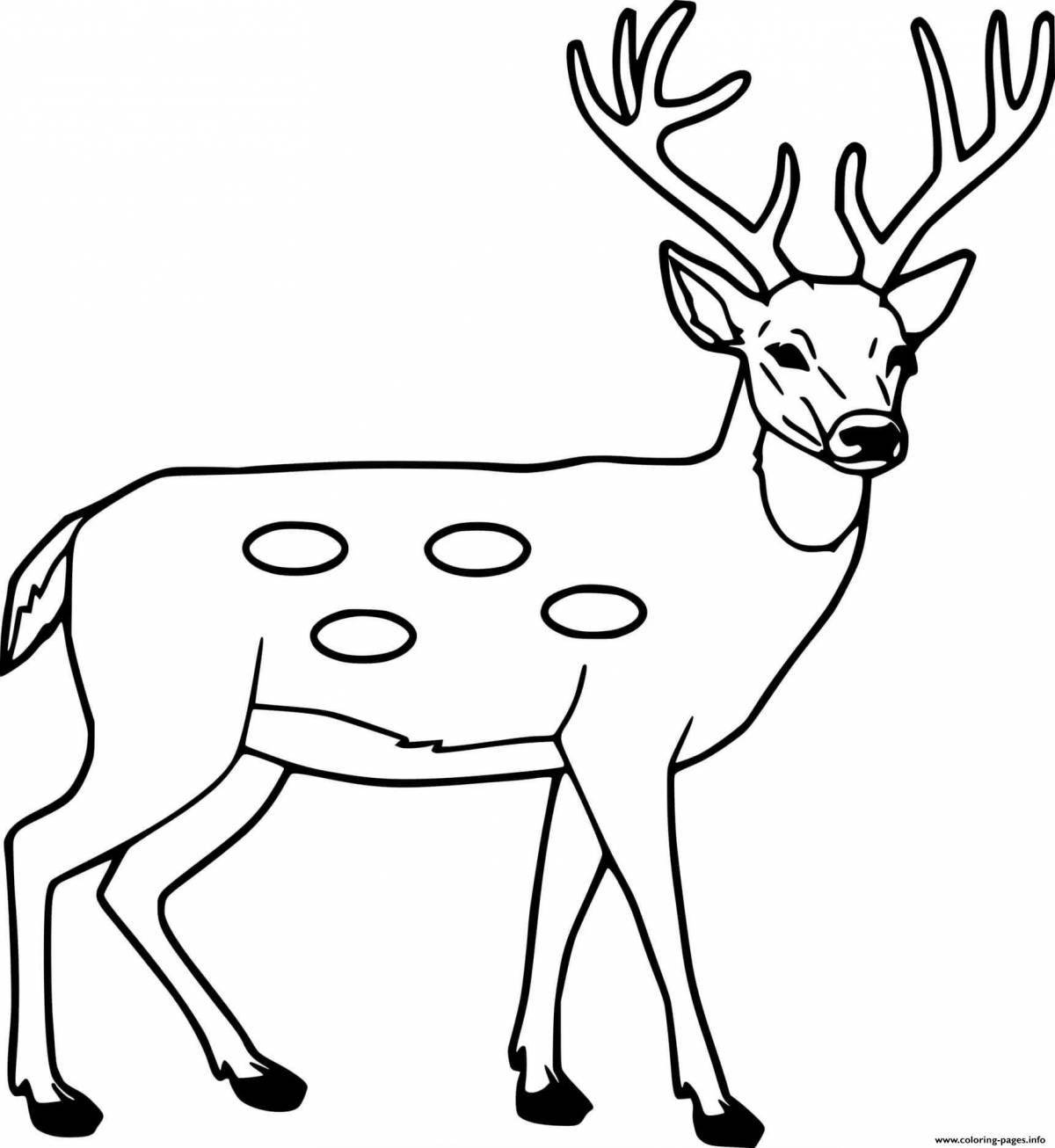 Coloring book beautiful sika deer
