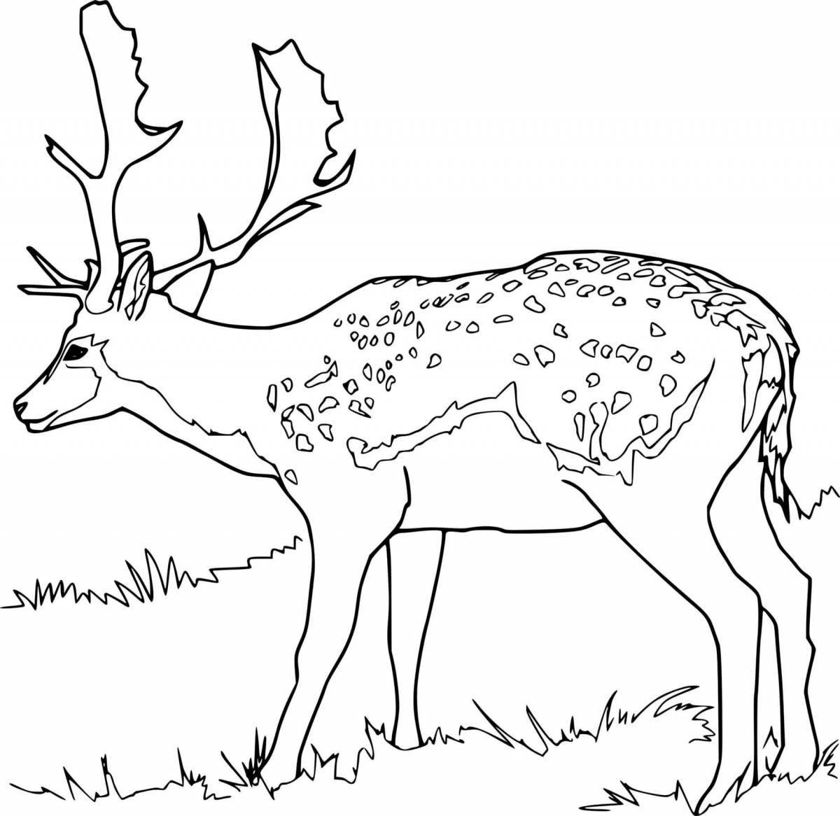 Coloring book happy sika deer