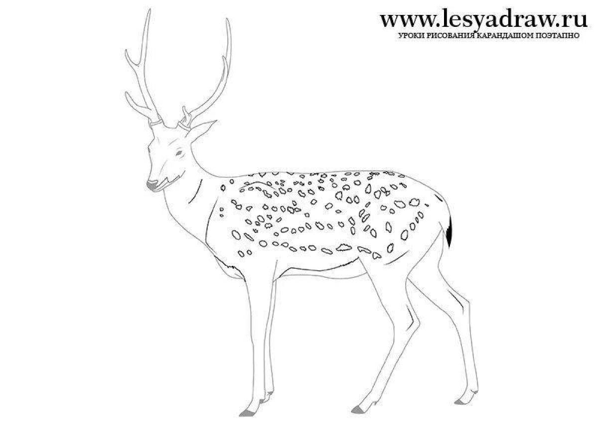 Amazing sika deer coloring page