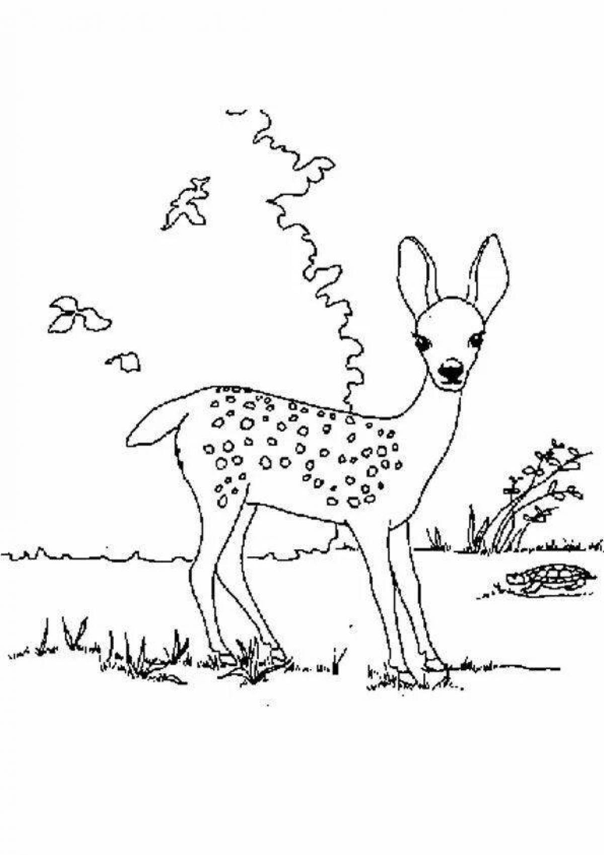 Coloring book playful sika deer