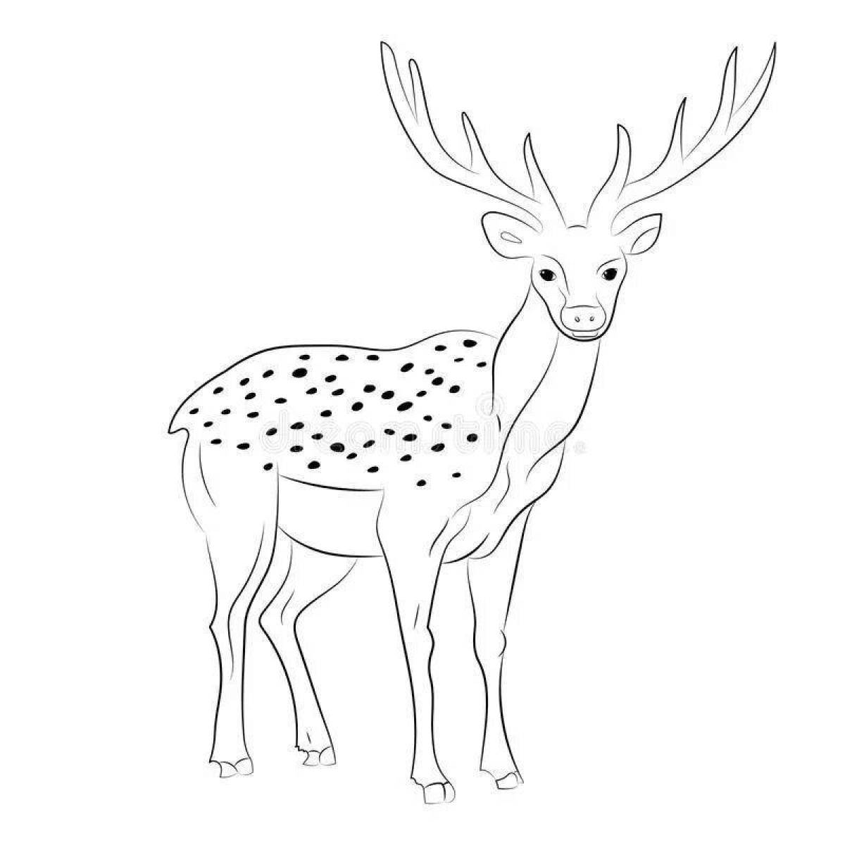 Fancy sika deer coloring page