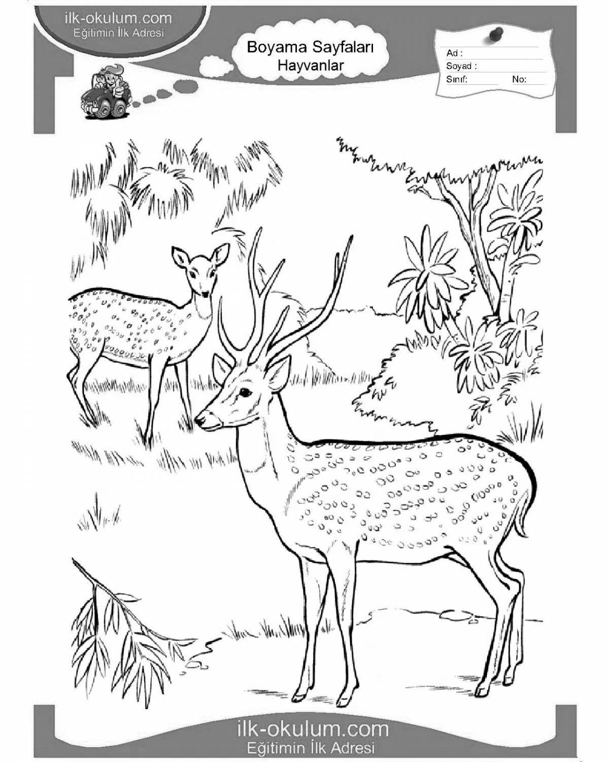 Glitter sika deer coloring page