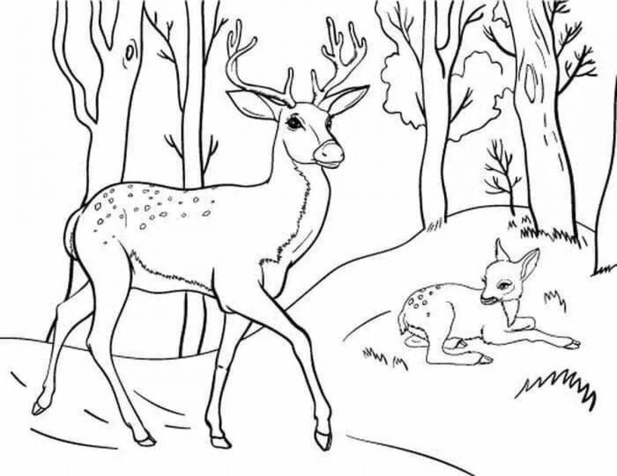Coloring page dazzling sika deer