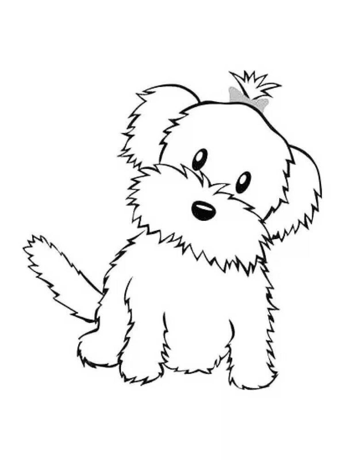 Amazing dog coloring book