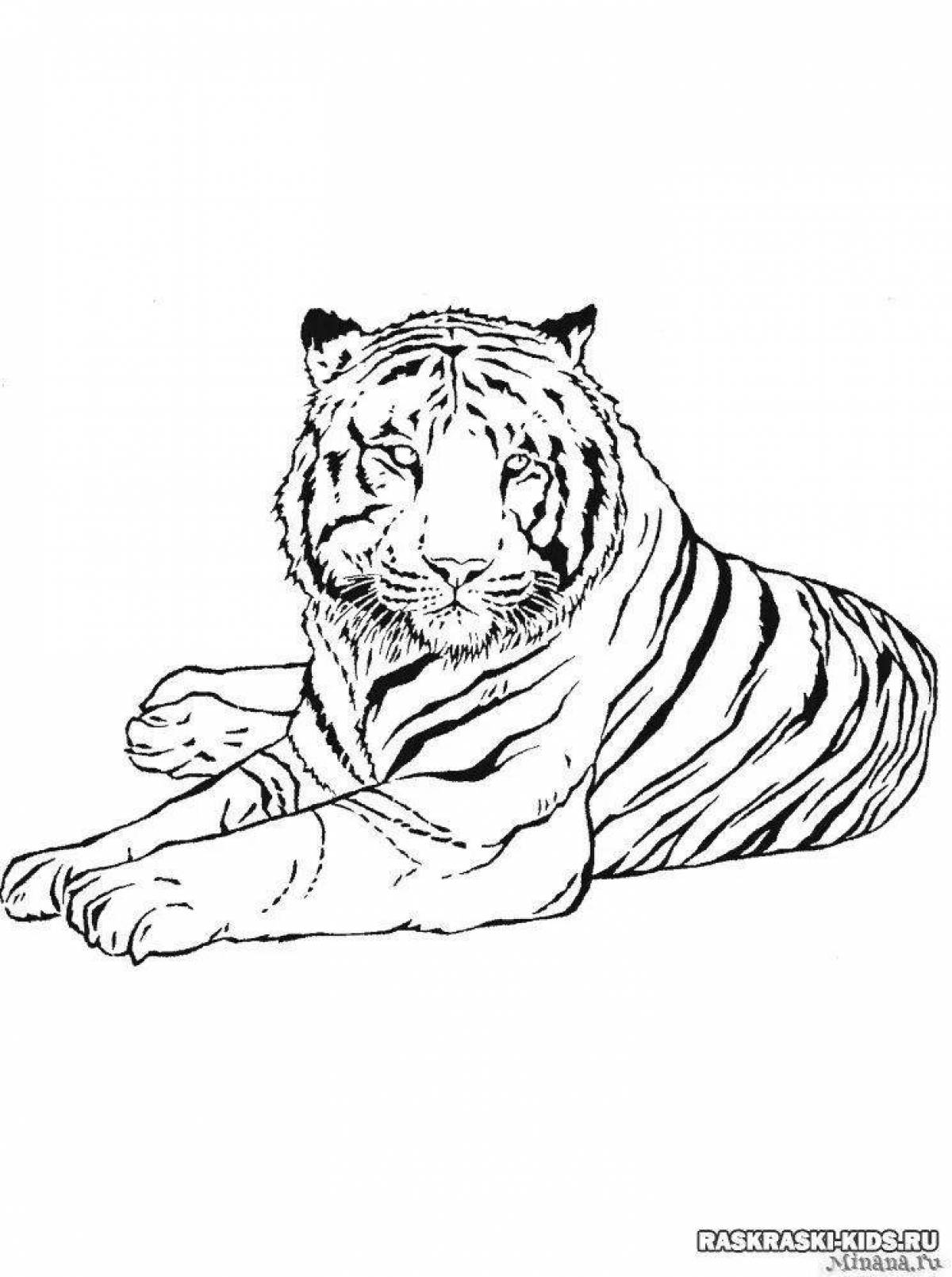Alluring tiger drawing