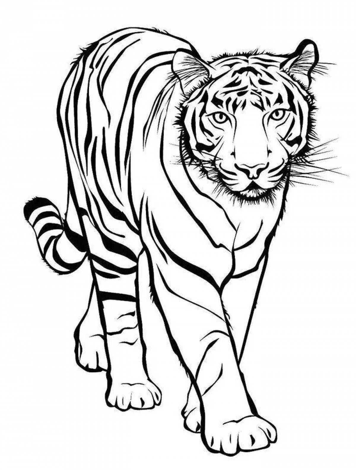 King tiger coloring page
