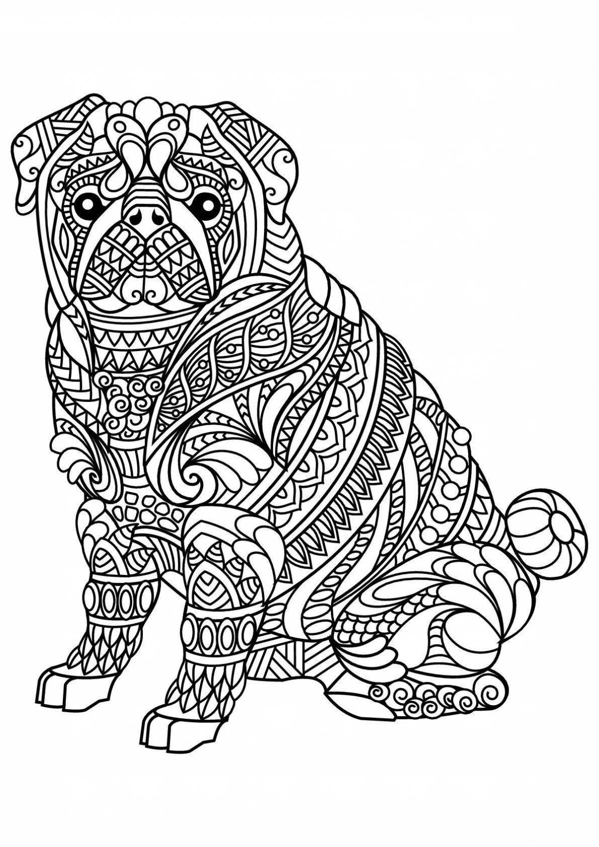 Exquisite dog coloring