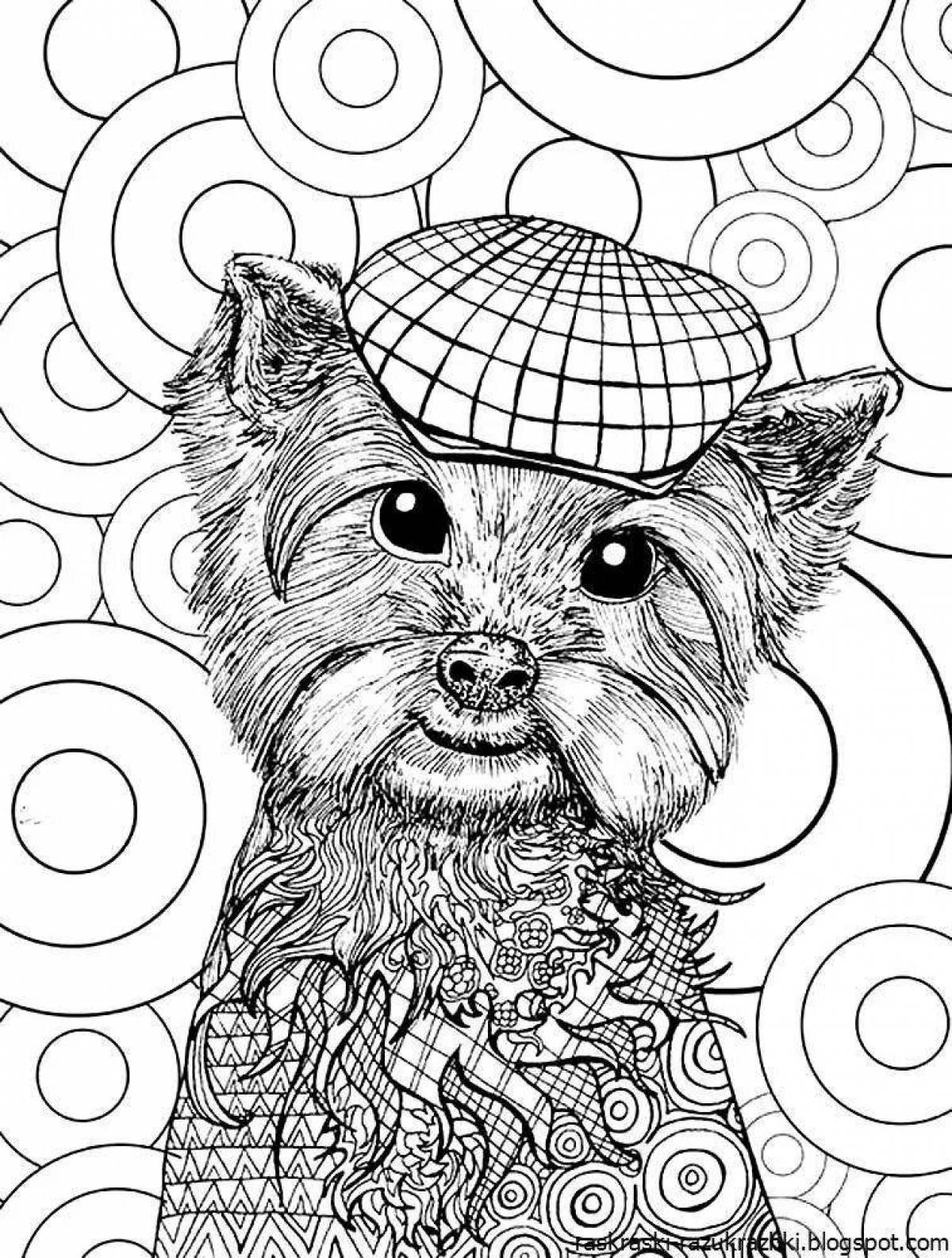 Skillful dog coloring