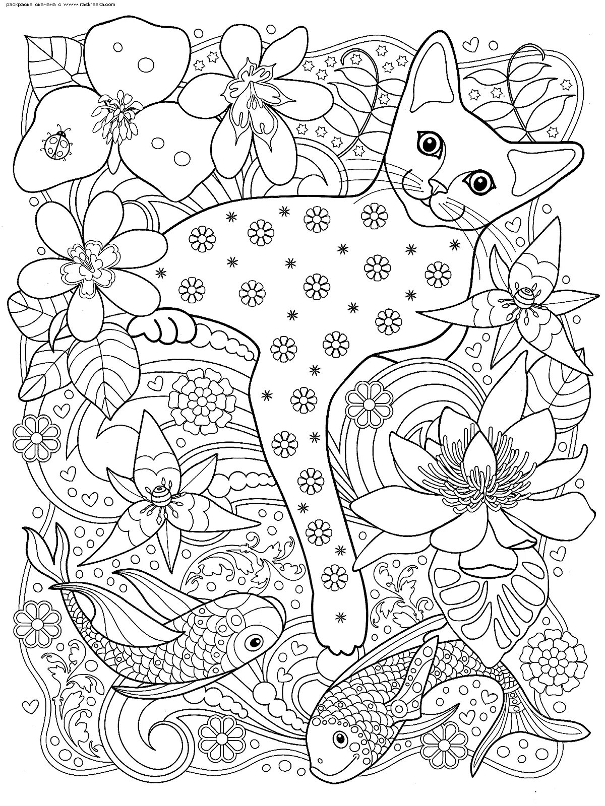 Calming coloring complex cat