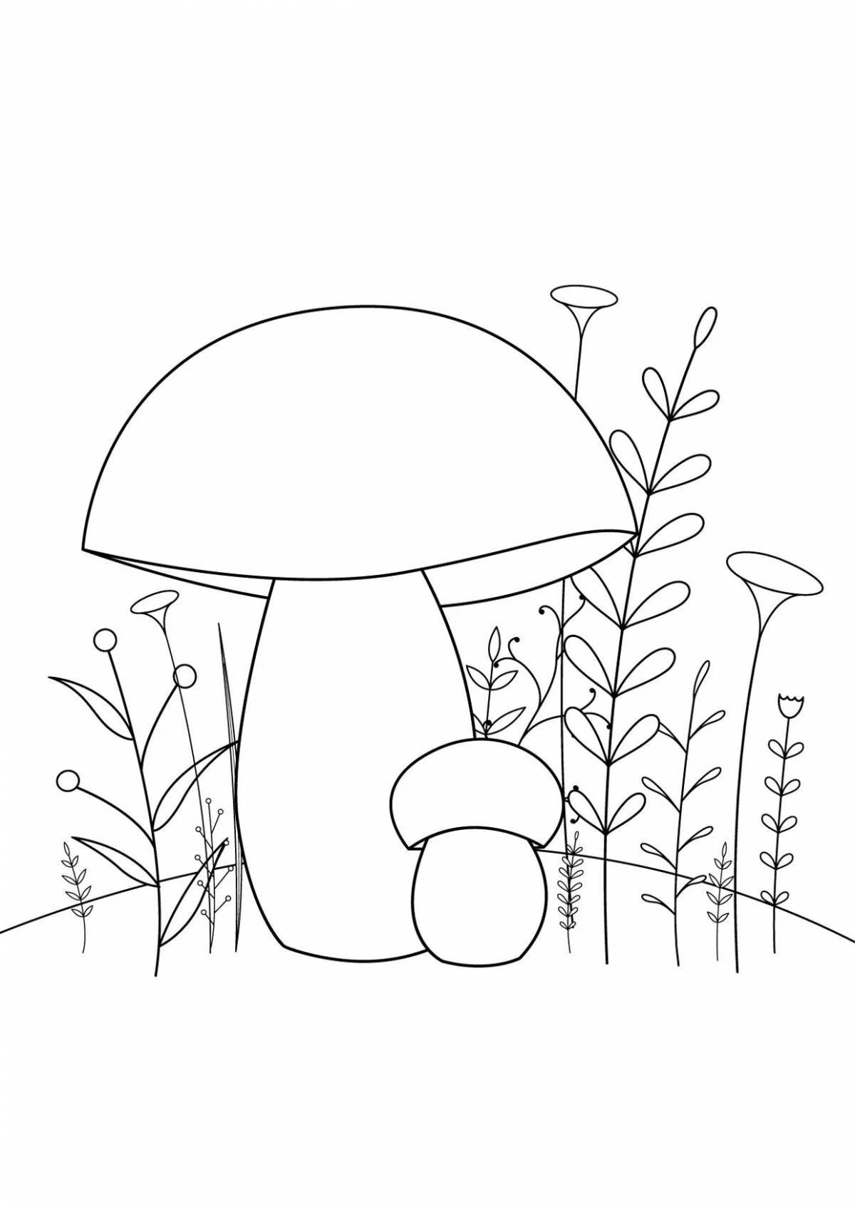 Красочная страница раскраски грибов подберезовики