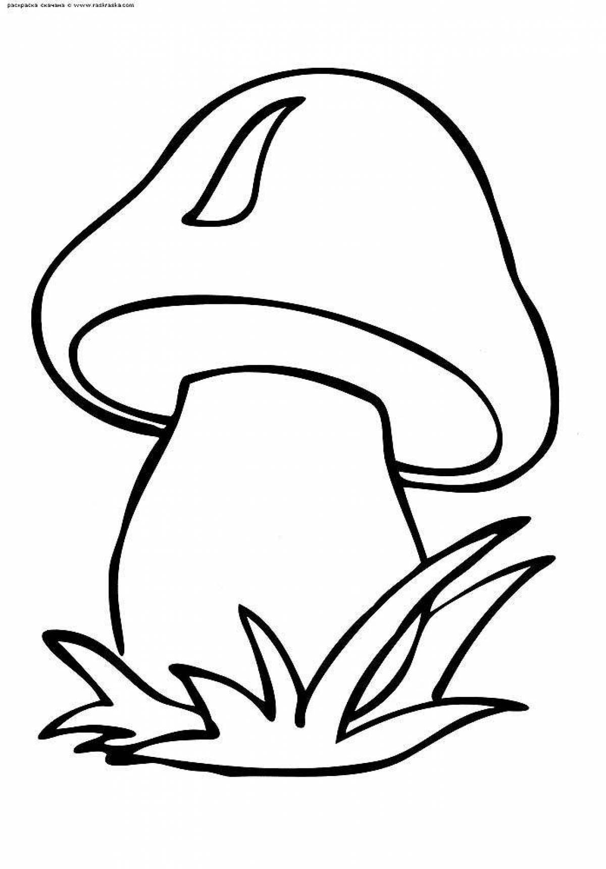 Bright boletus mushroom coloring page