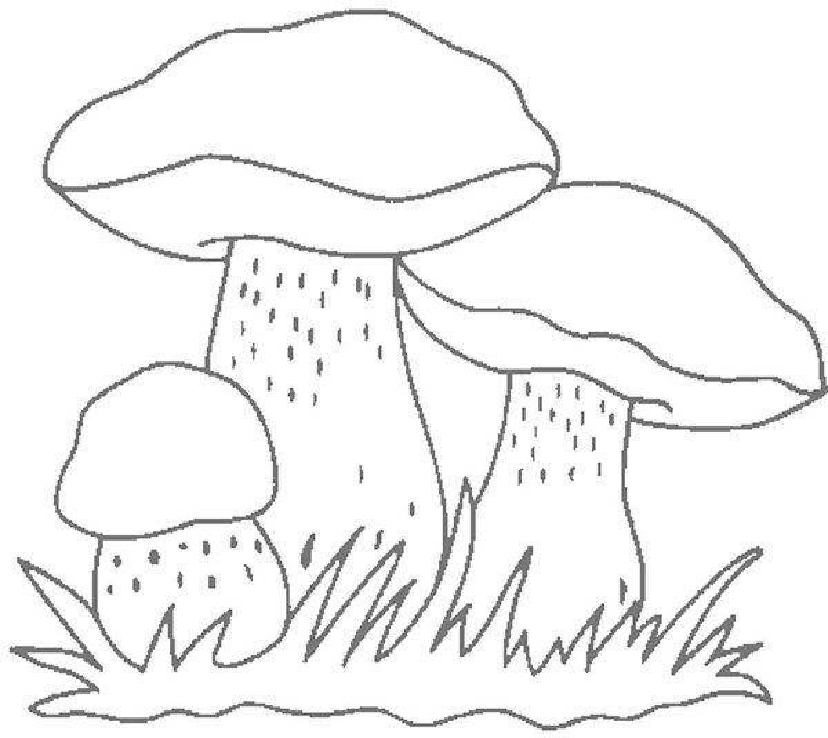 Coloring book shining boletus mushroom