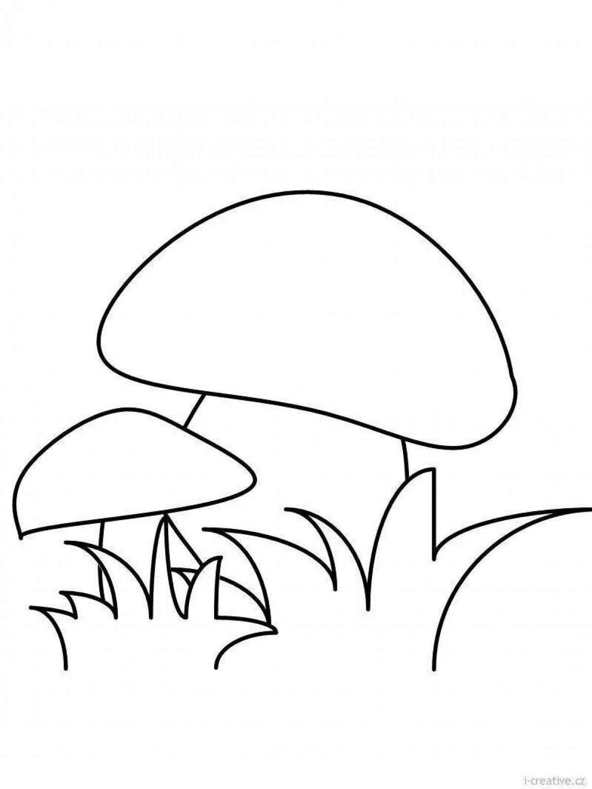 Charming coloring of boletus mushrooms