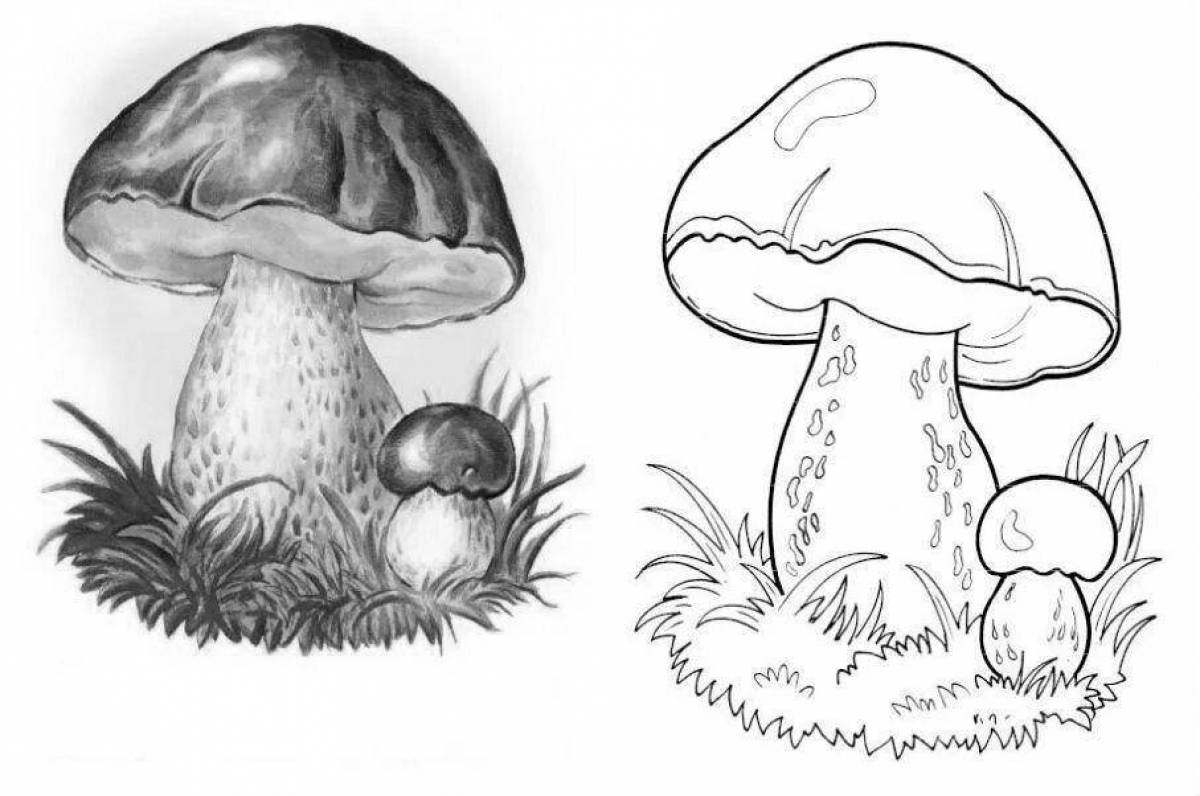 Coloring page magic mushroom boletus
