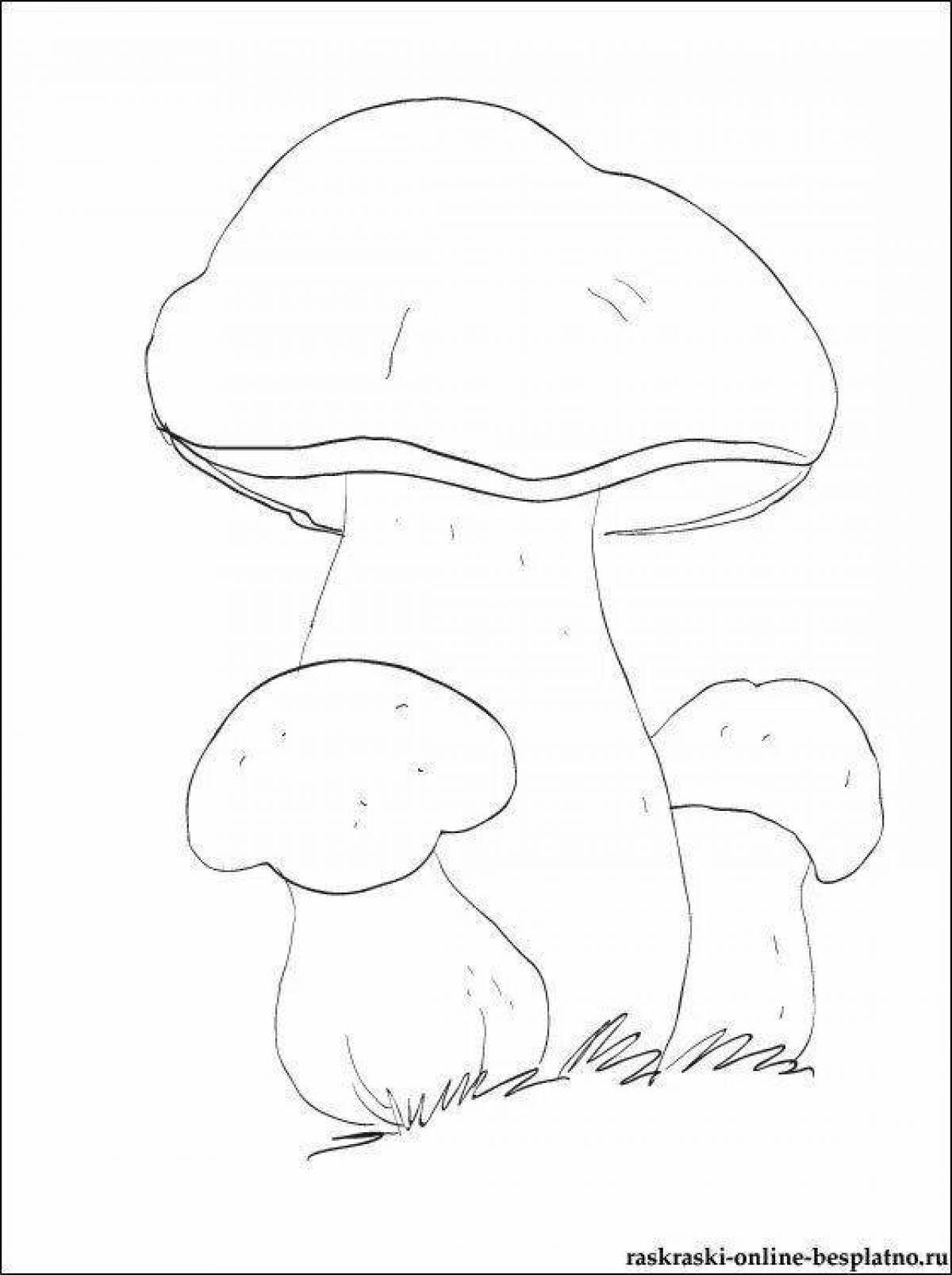 Раскраска экзотический гриб боровик