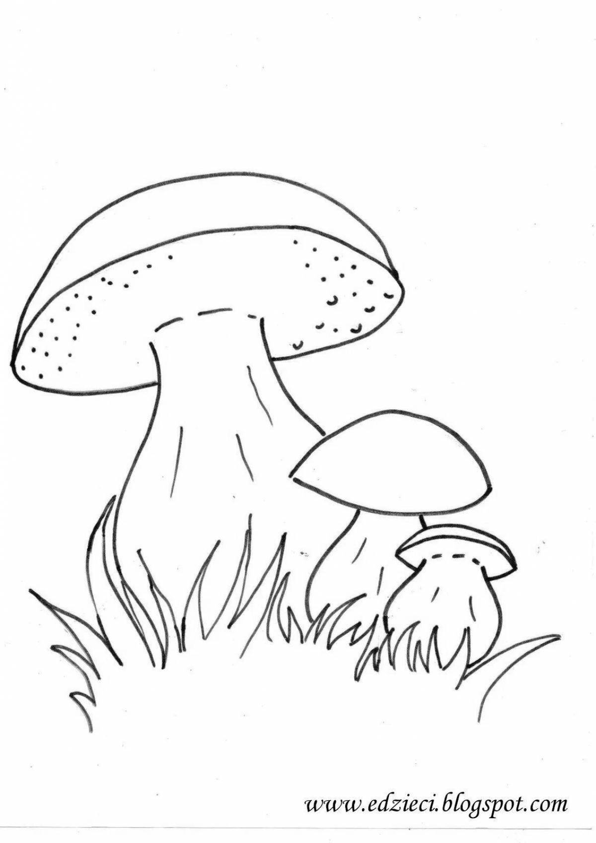 Раскраска очаровательный гриб боровик