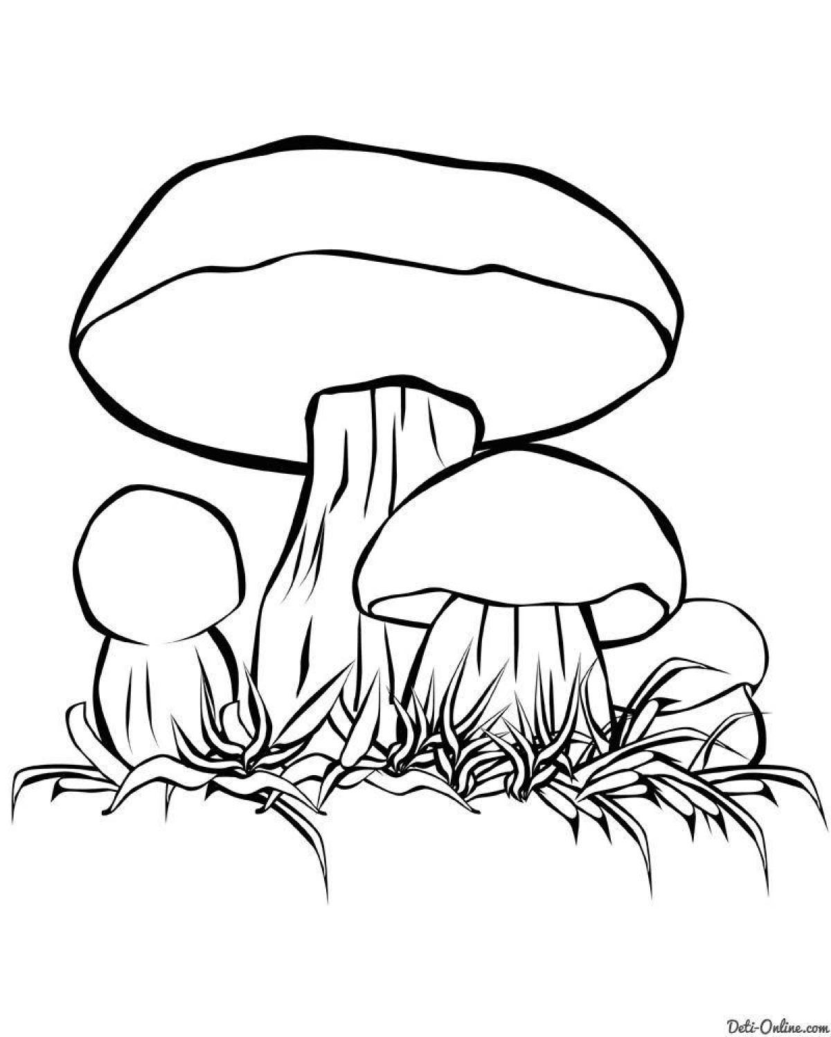 Раскраска элегантный гриб боровик