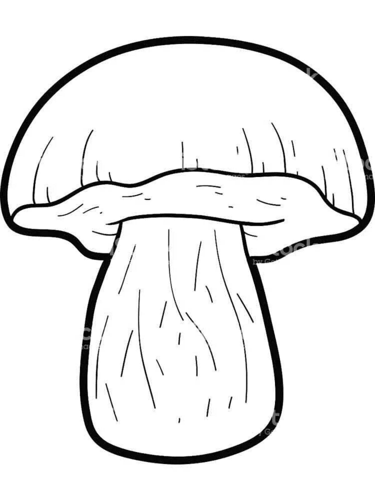 Раскраска стильный гриб боровик
