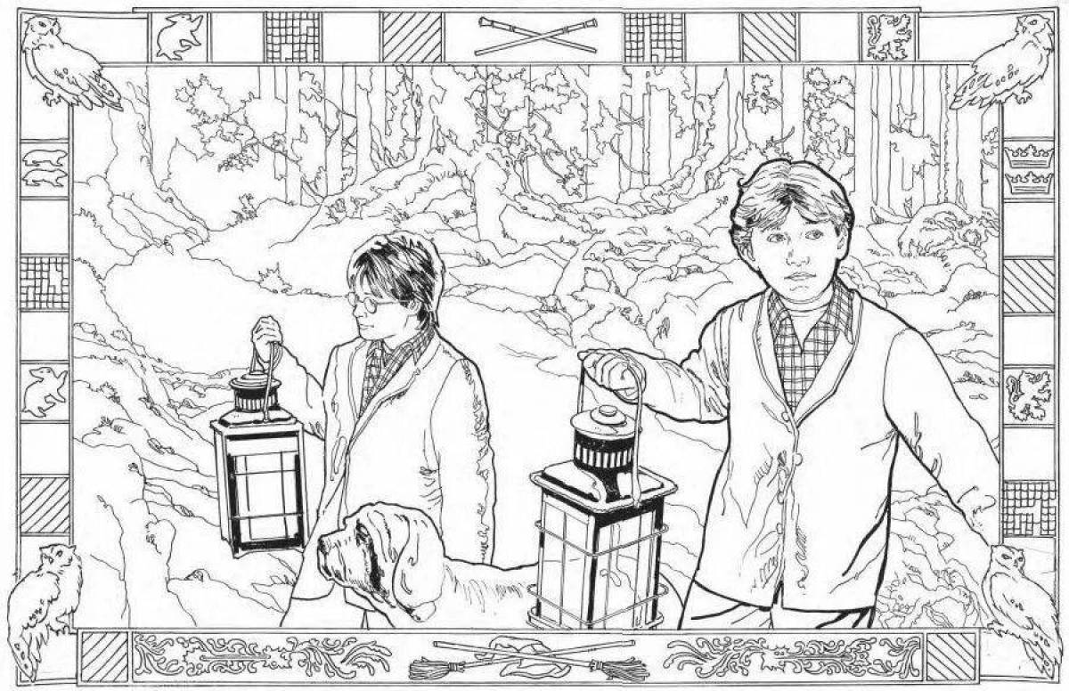 Harry potter playful coloring page