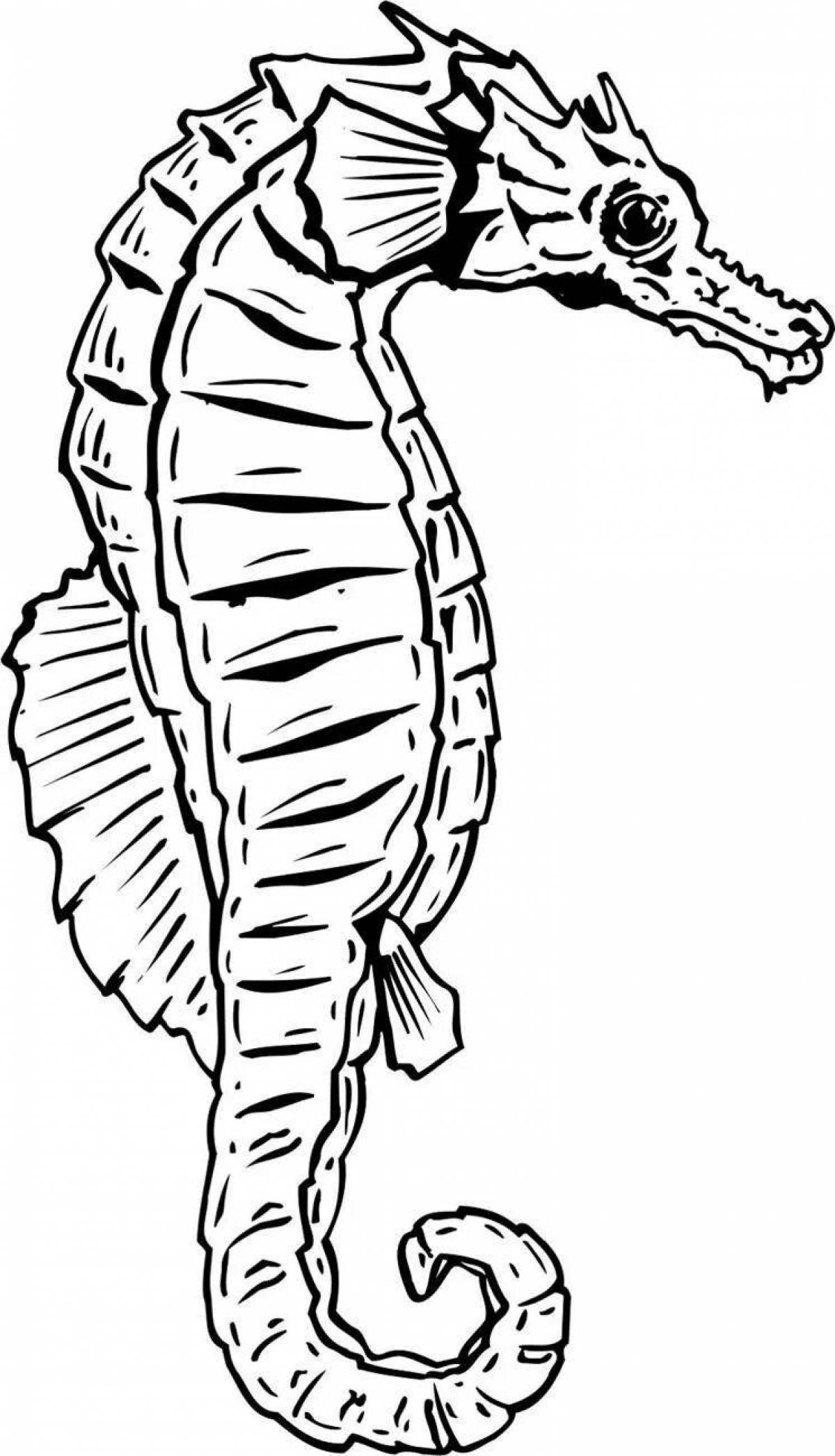Adorable seahorse coloring book for kids