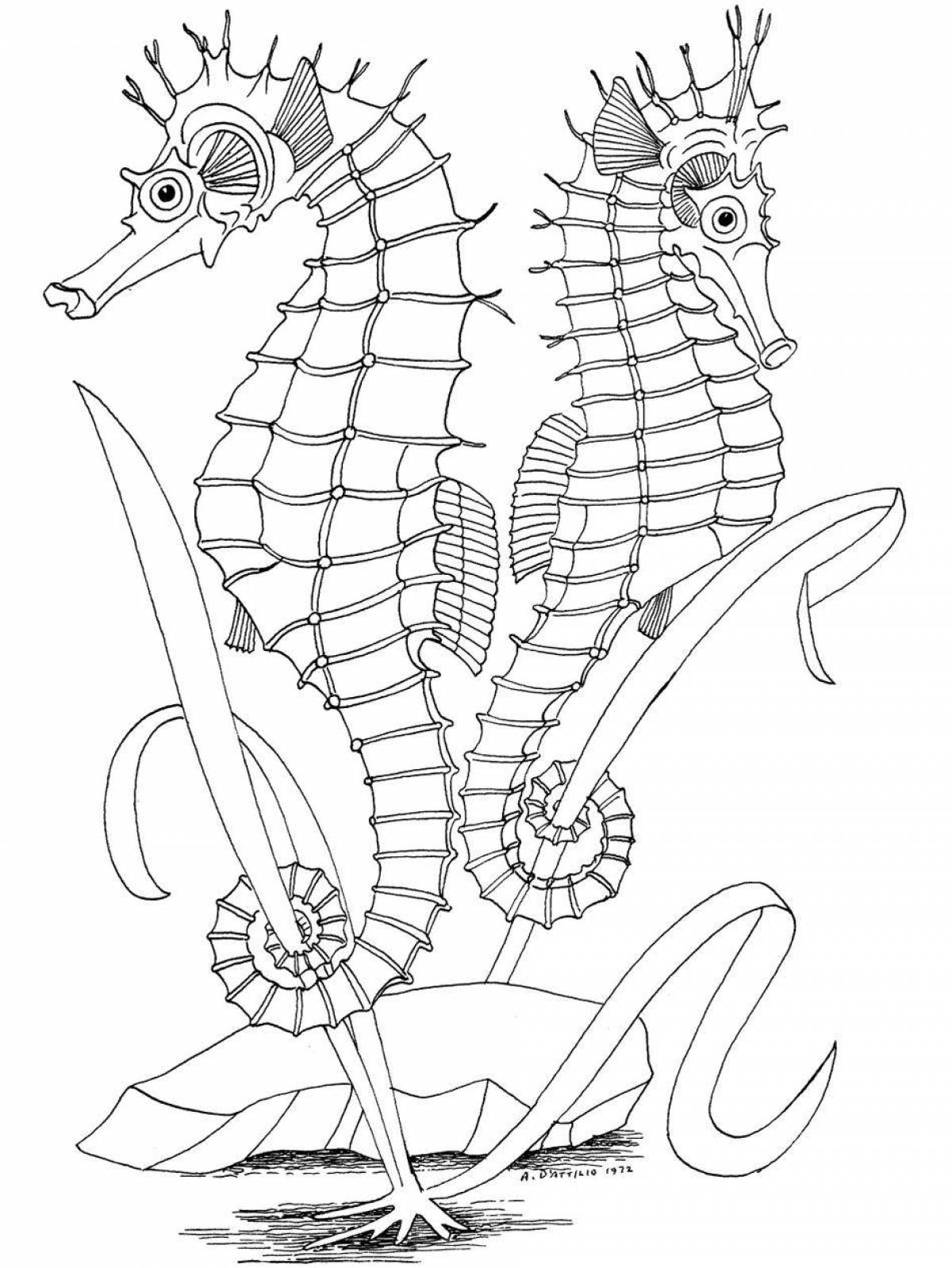 A funny seahorse coloring book for kids