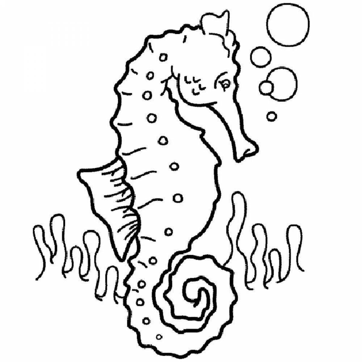 Magic seahorse coloring book for kids