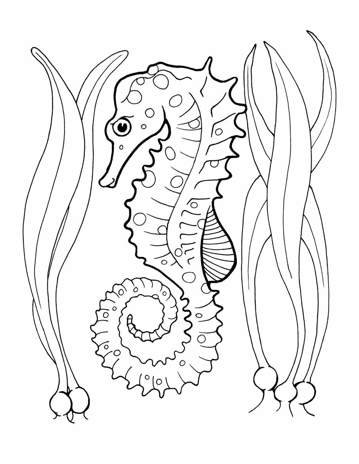 Fabulous seahorses coloring pages for kids