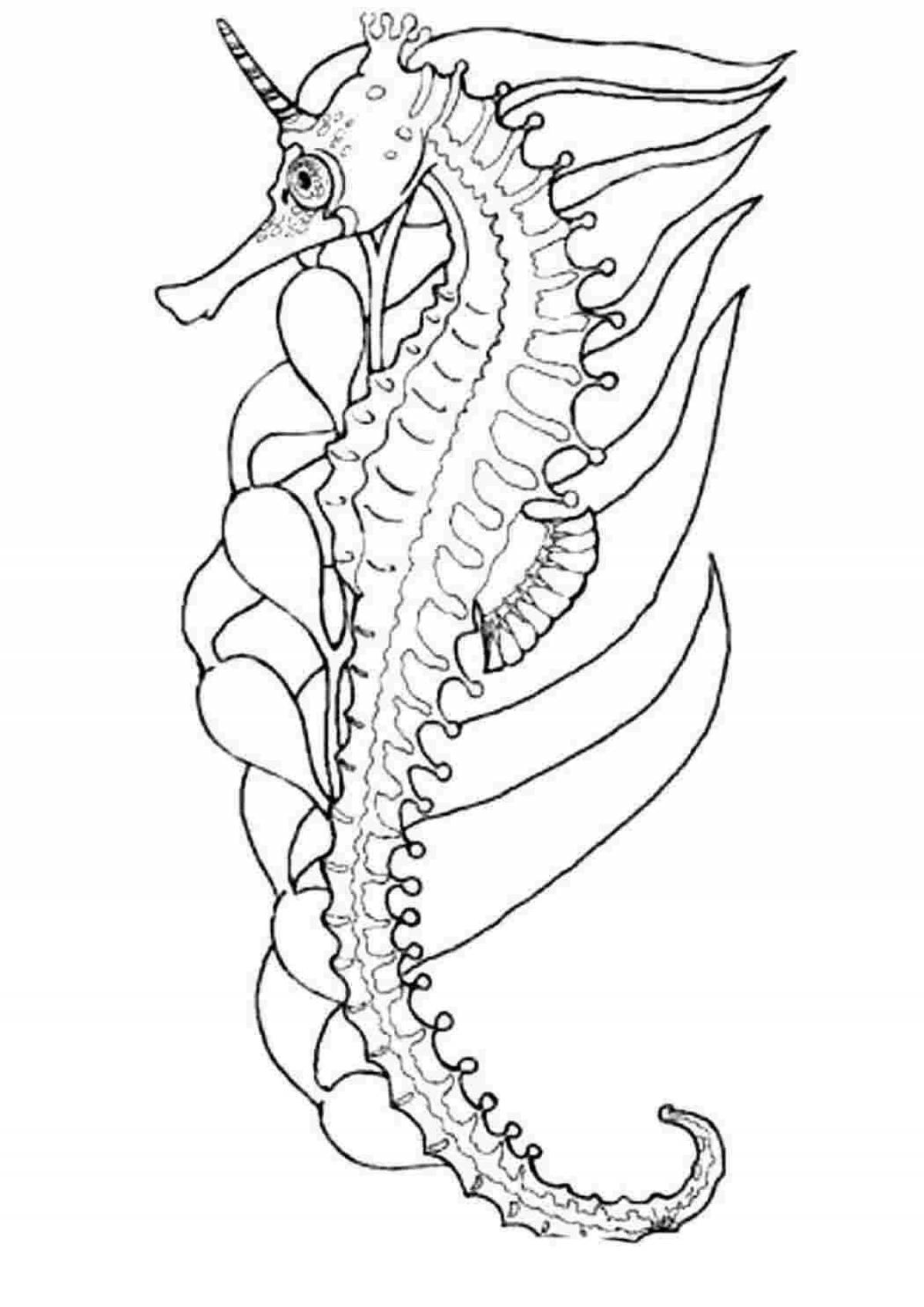 Awesome seahorse coloring pages for kids