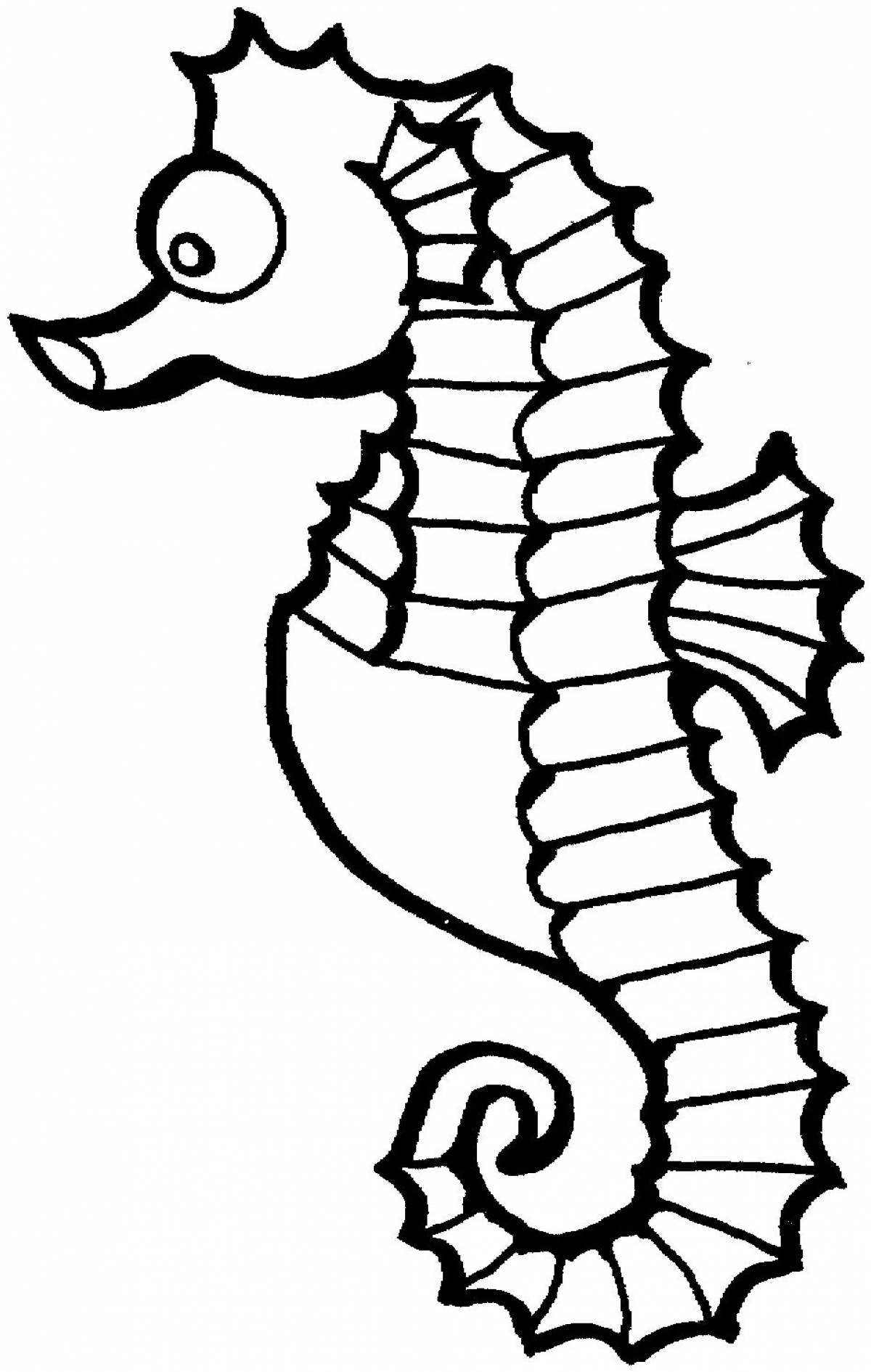 Seahorse for kids #3