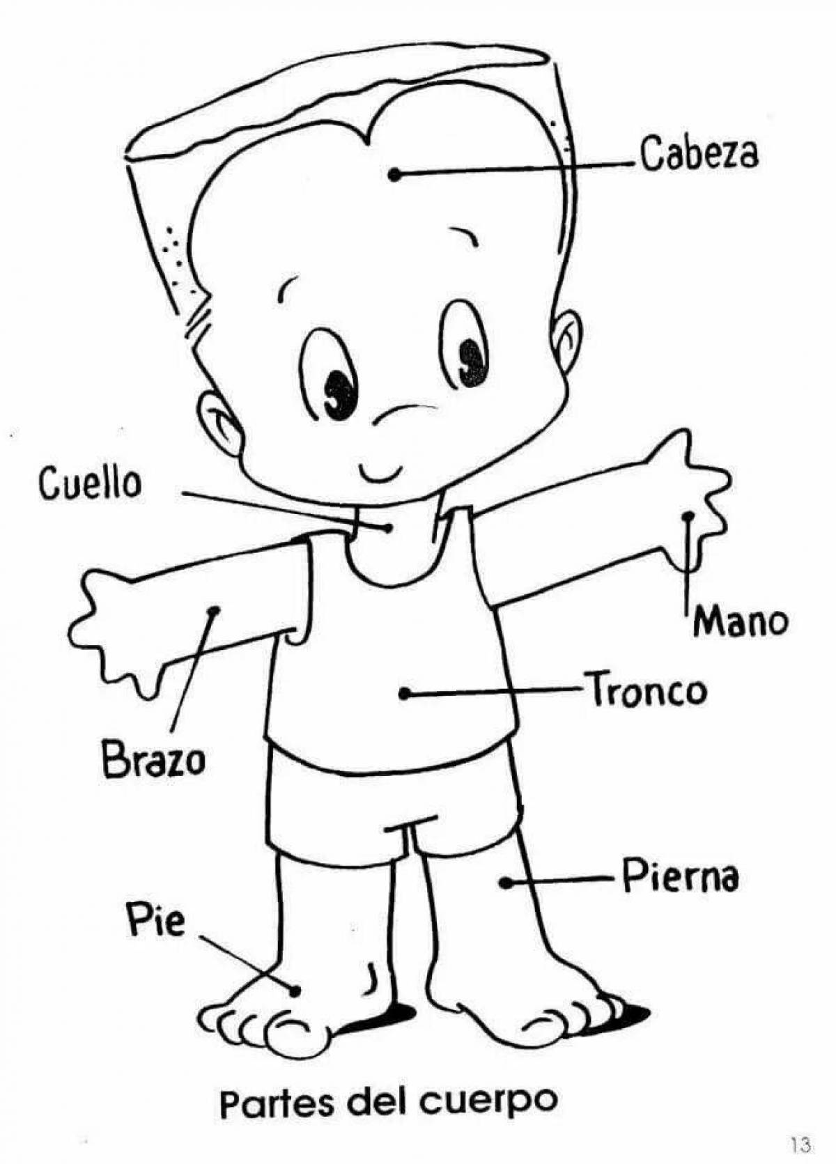Изображение ребенка для изучения частей тела