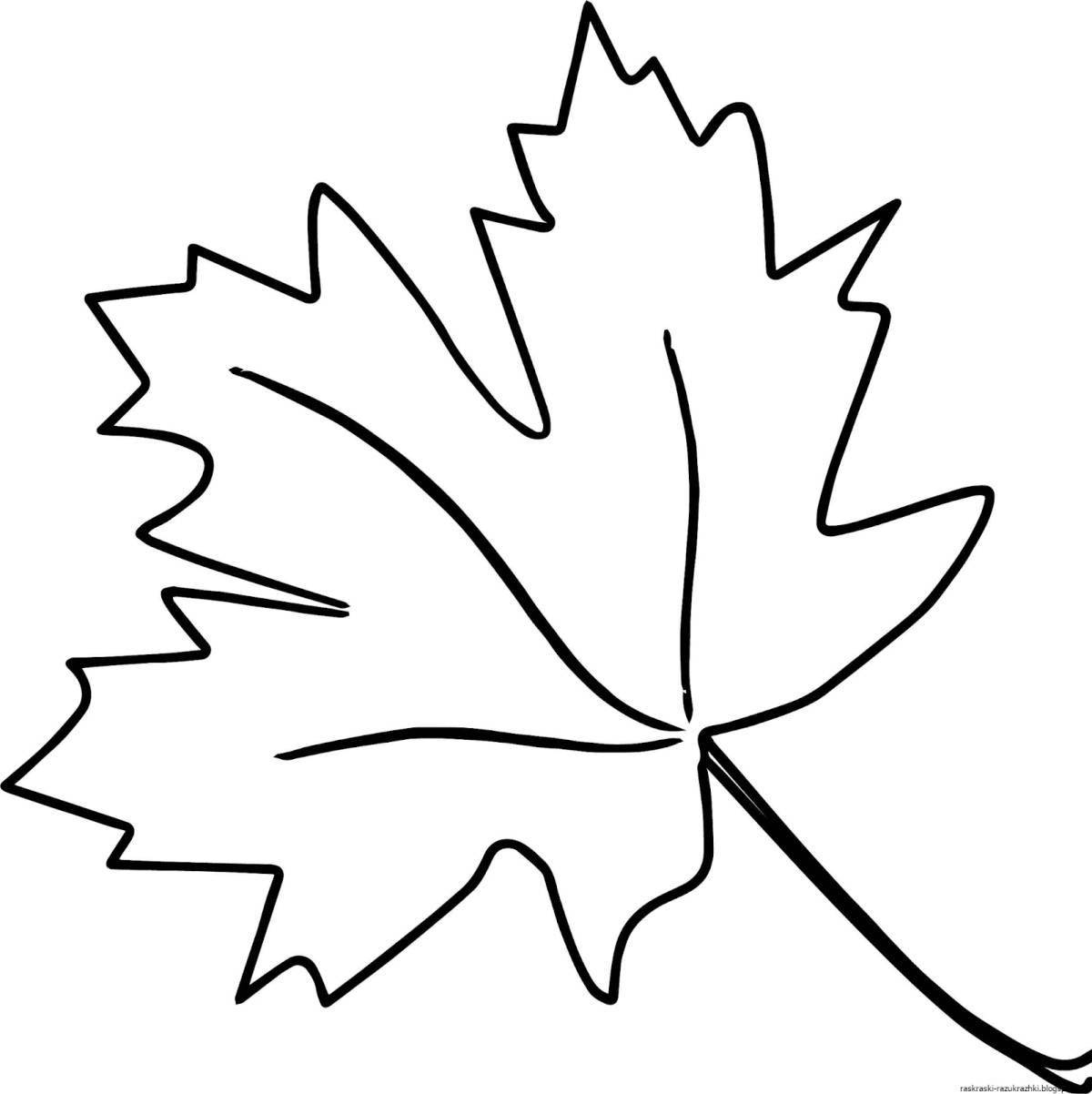 Coloring maple leaf for kids
