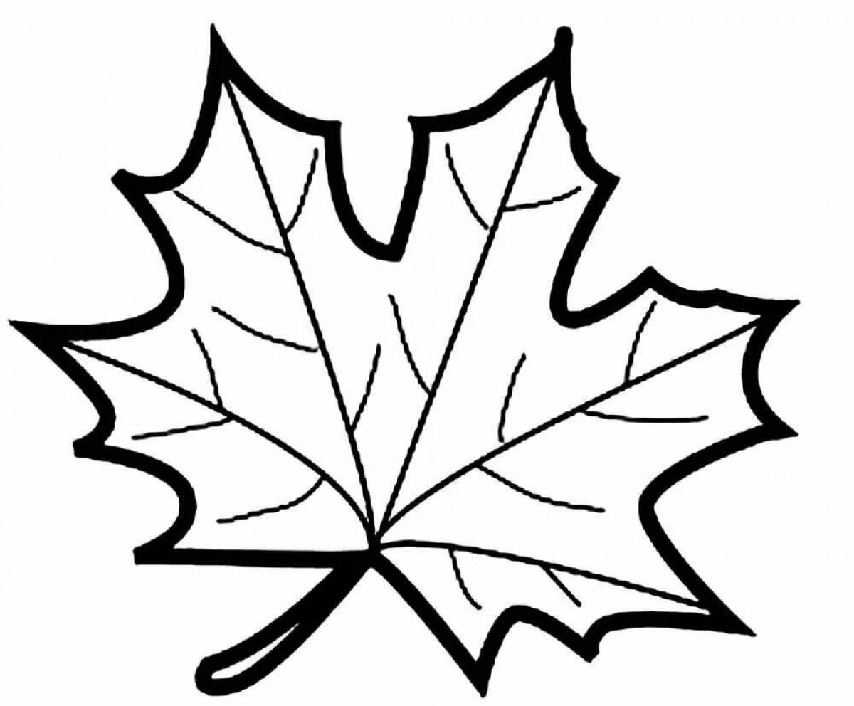 Glorious maple leaf coloring book for kids