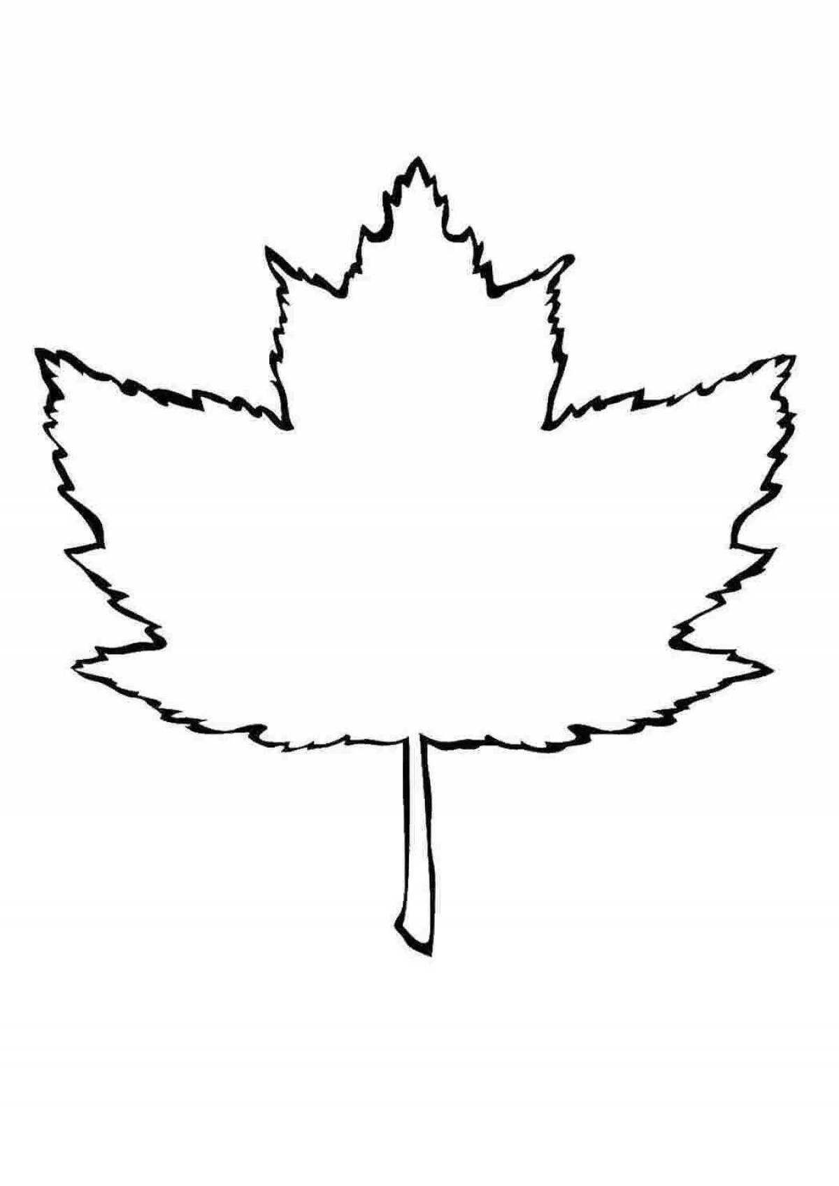 Amazing maple leaf coloring book for kids