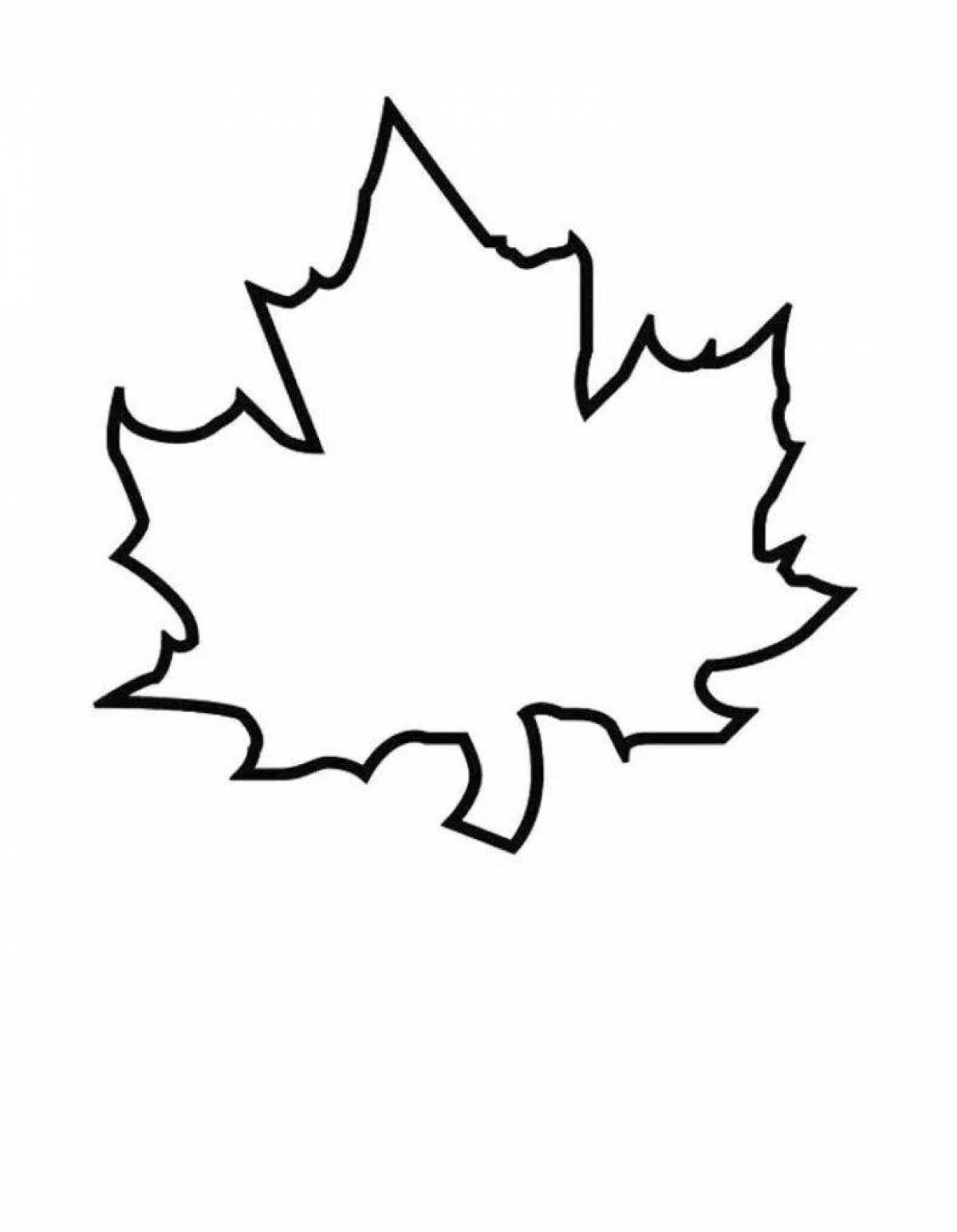 Adorable maple leaf coloring book for kids