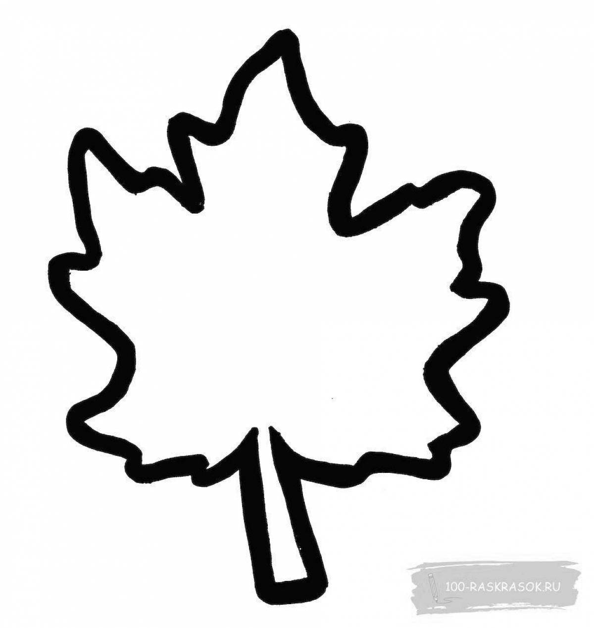 Wonderful maple leaf coloring book for kids