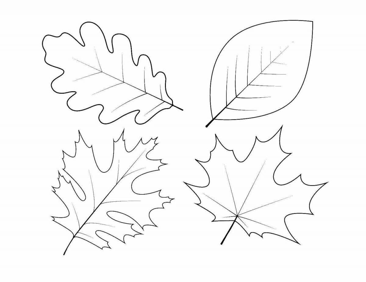 Animated coloring maple leaf for kids