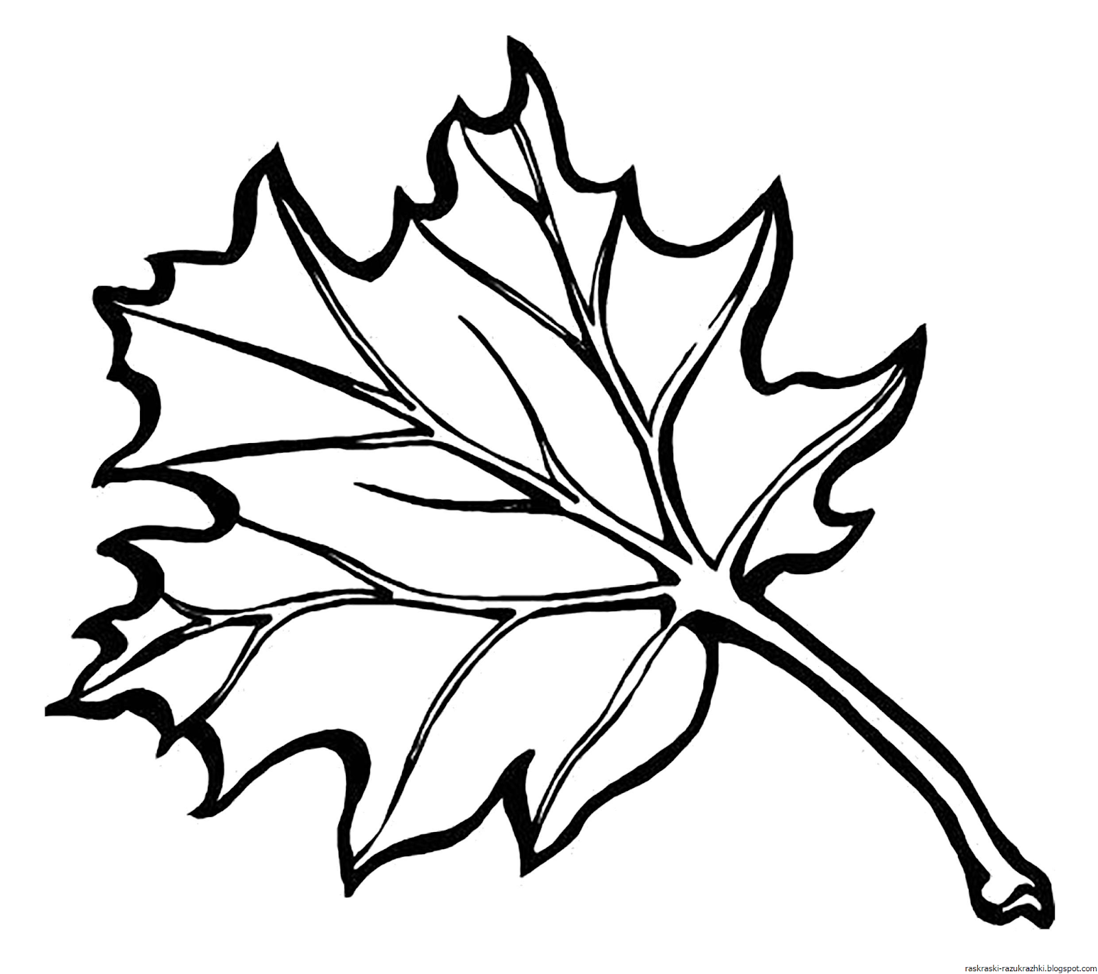 Maple leaf for kids #1