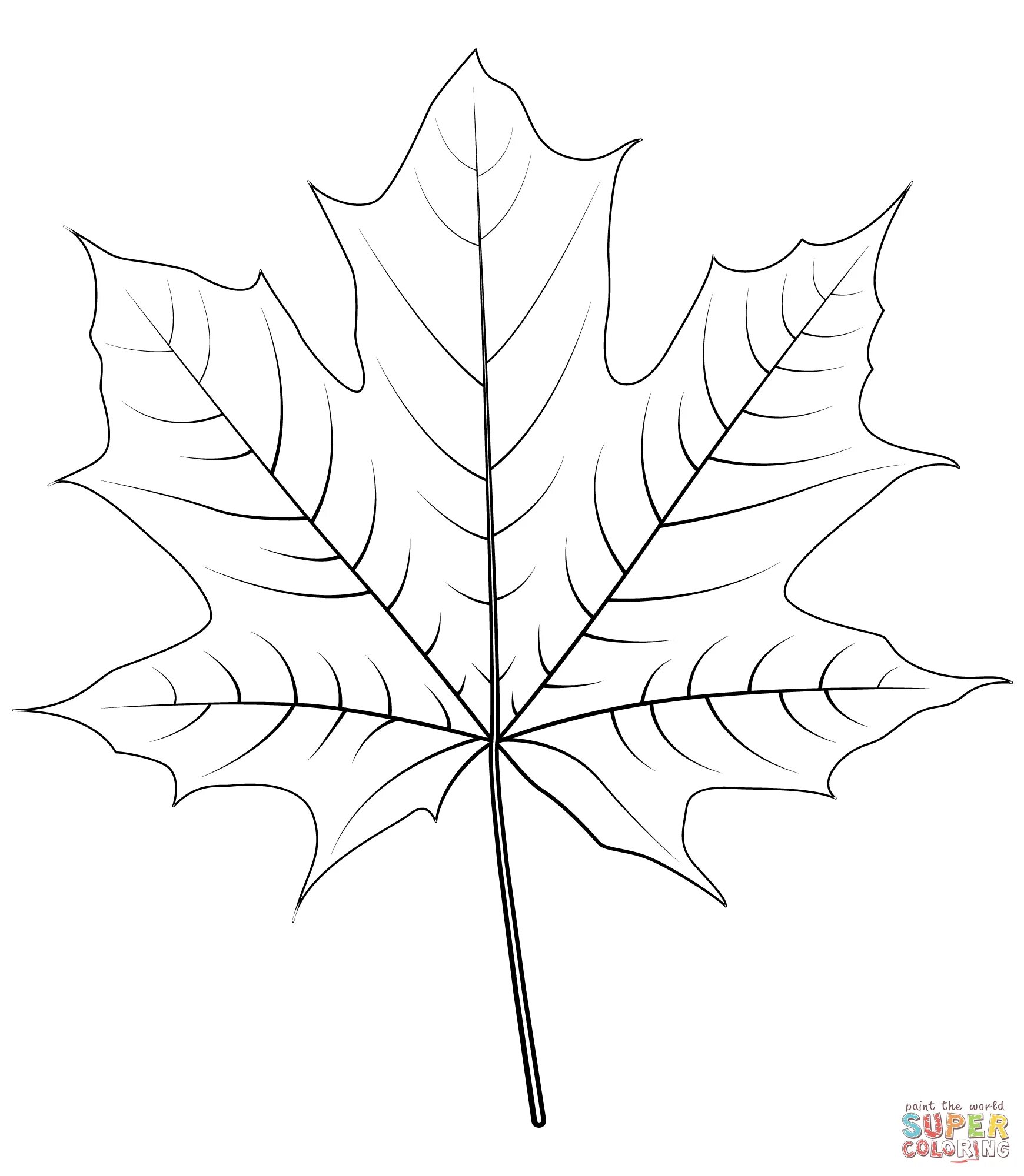Maple leaf for children #3