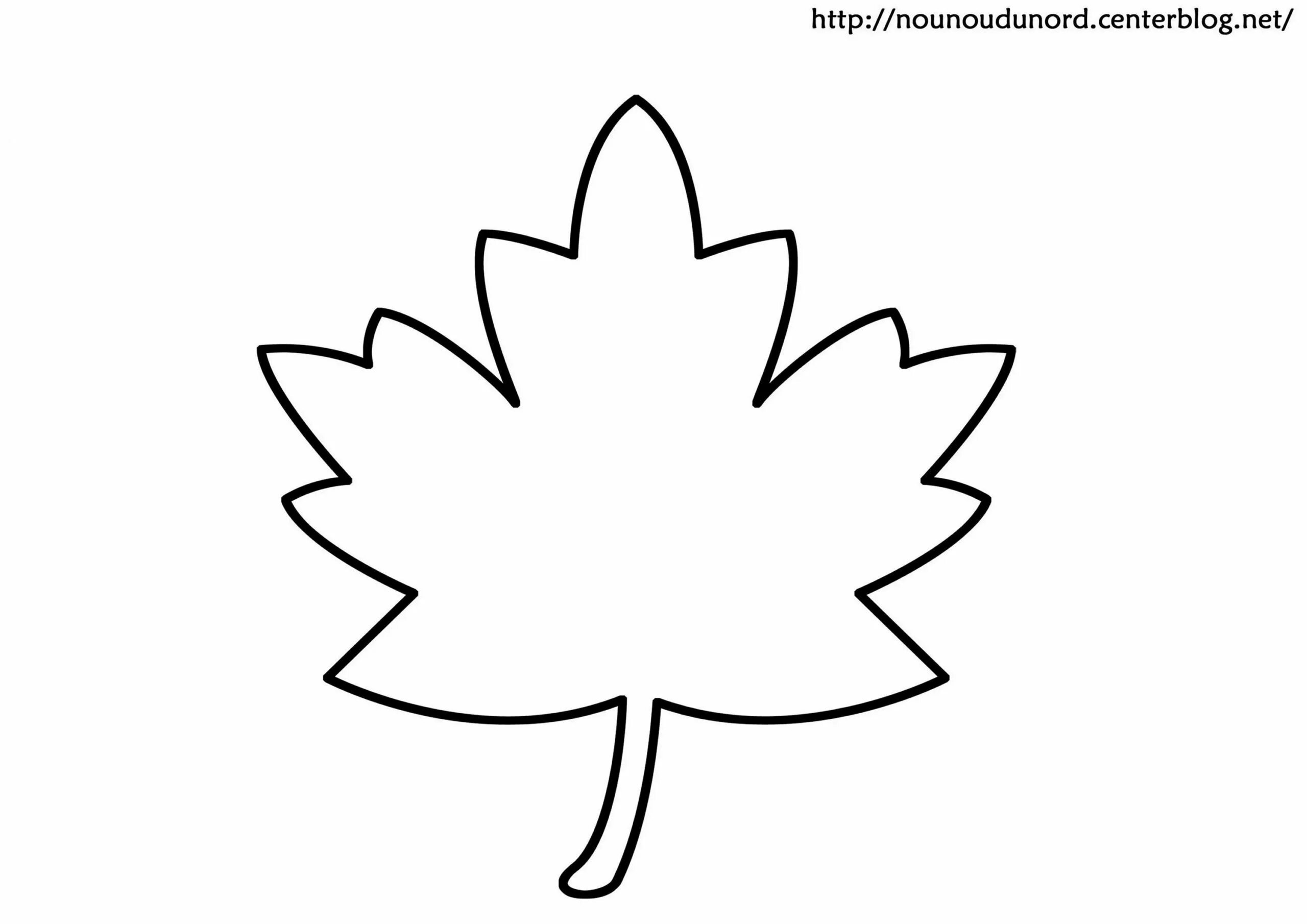 Maple leaf for children #4