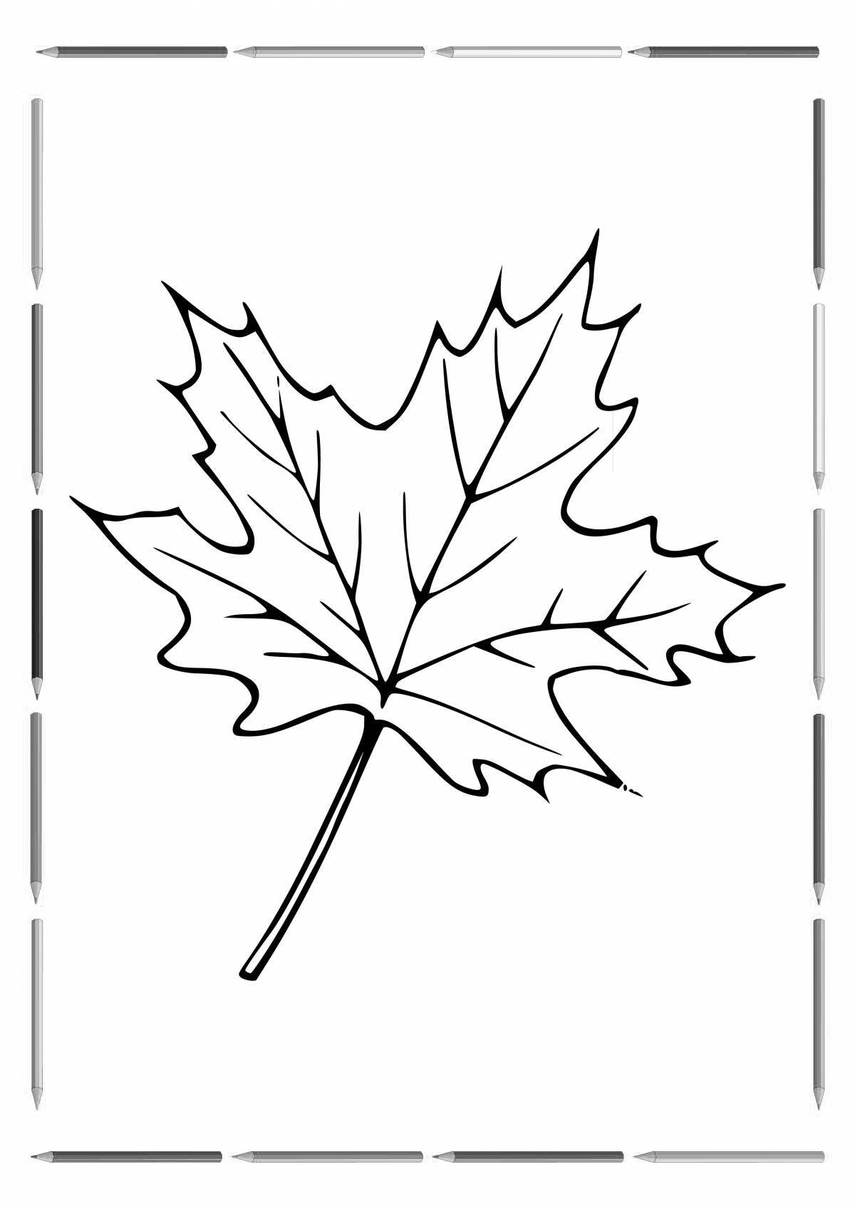 Maple leaf for kids #5
