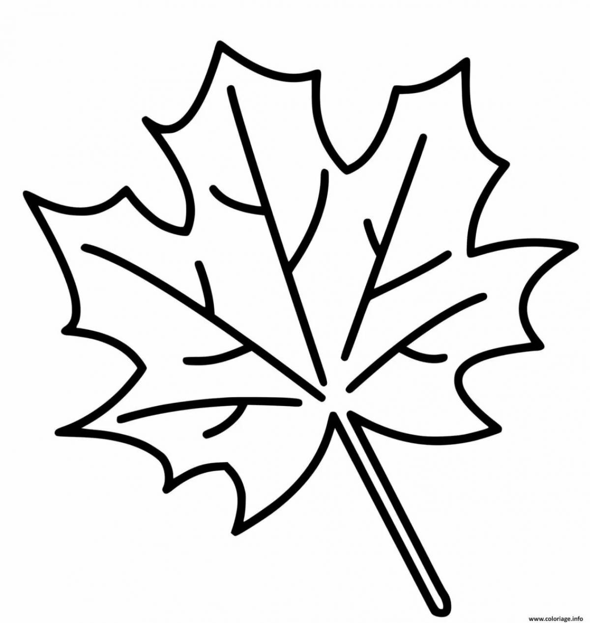Maple leaf for children #7