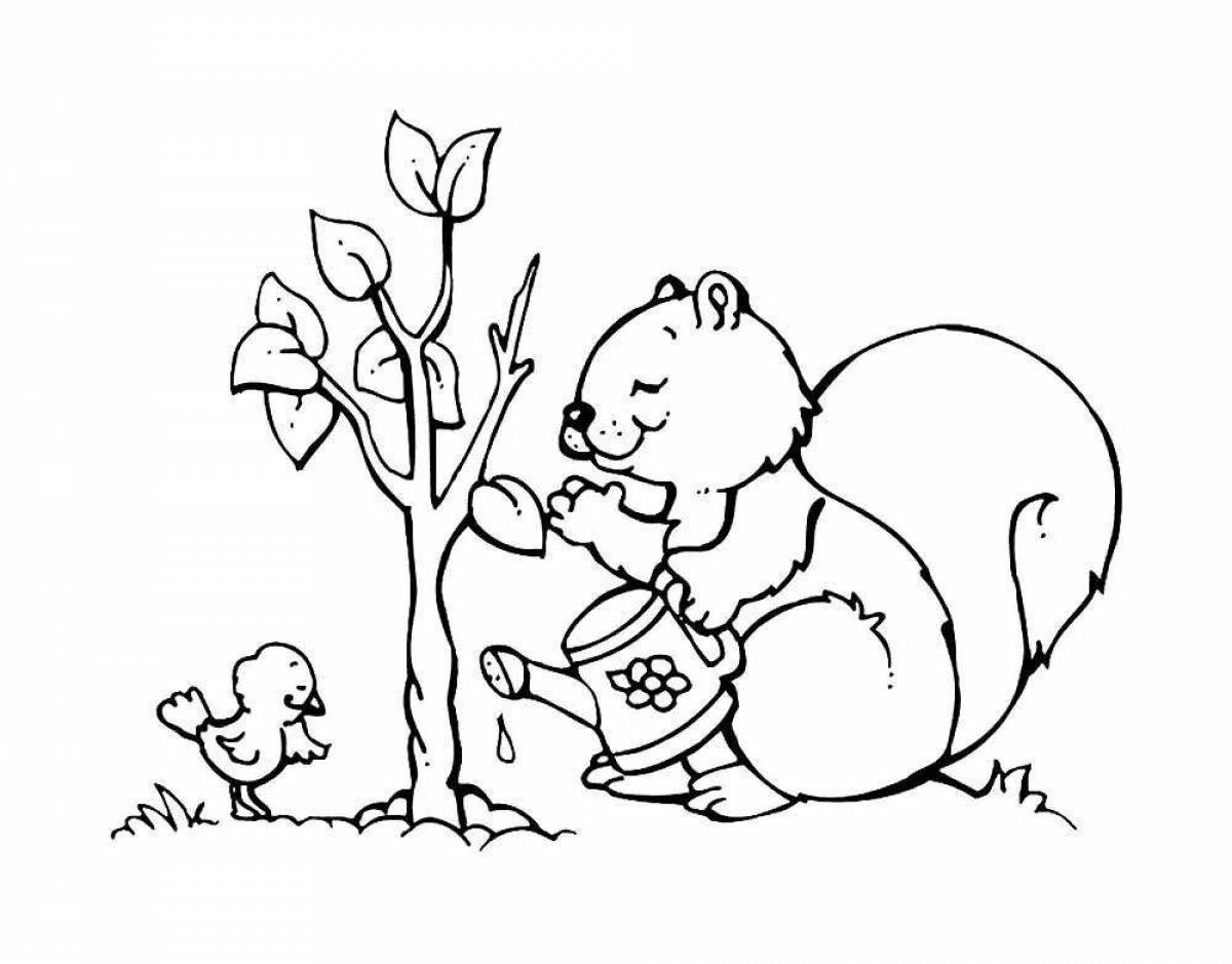 Раскраска Глупая белка с шишкой